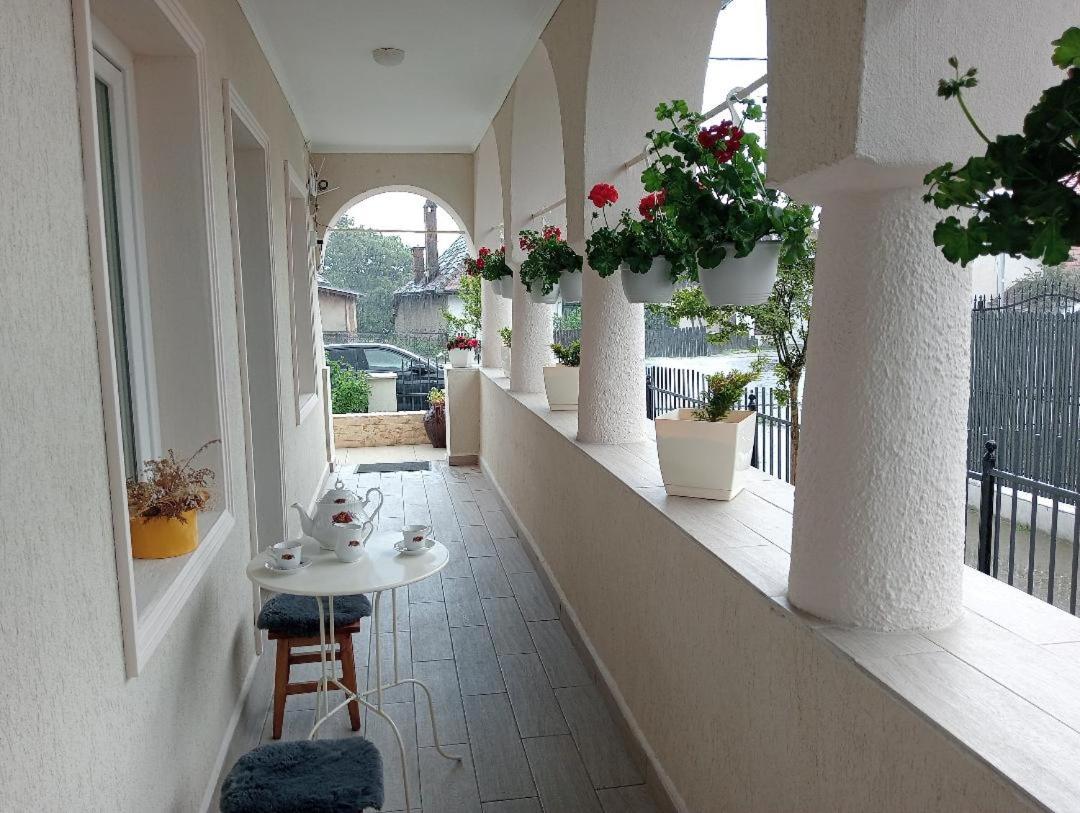 Casa Ana view 2
