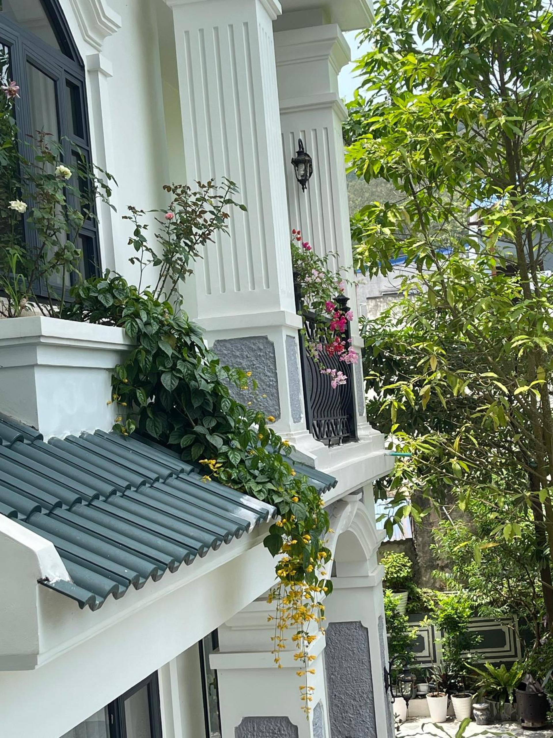 Lynh's Villa