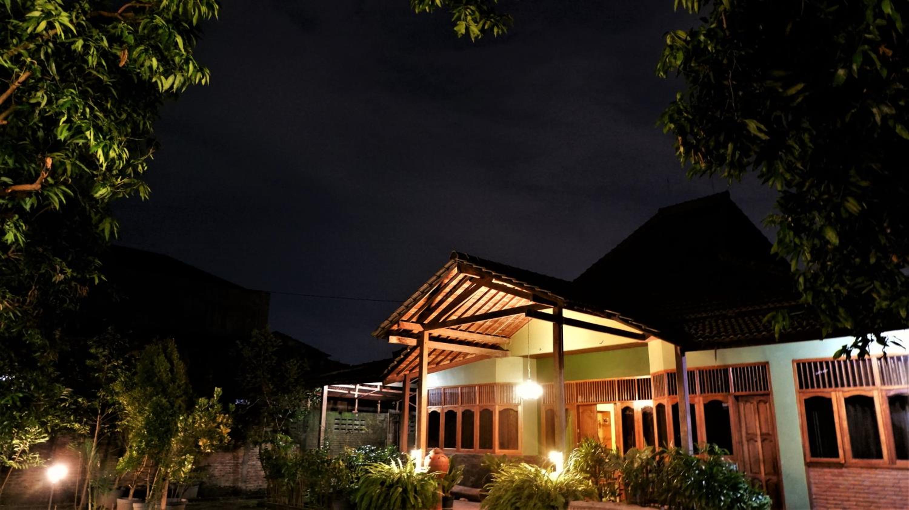 Sleepy Raccoon Hostel