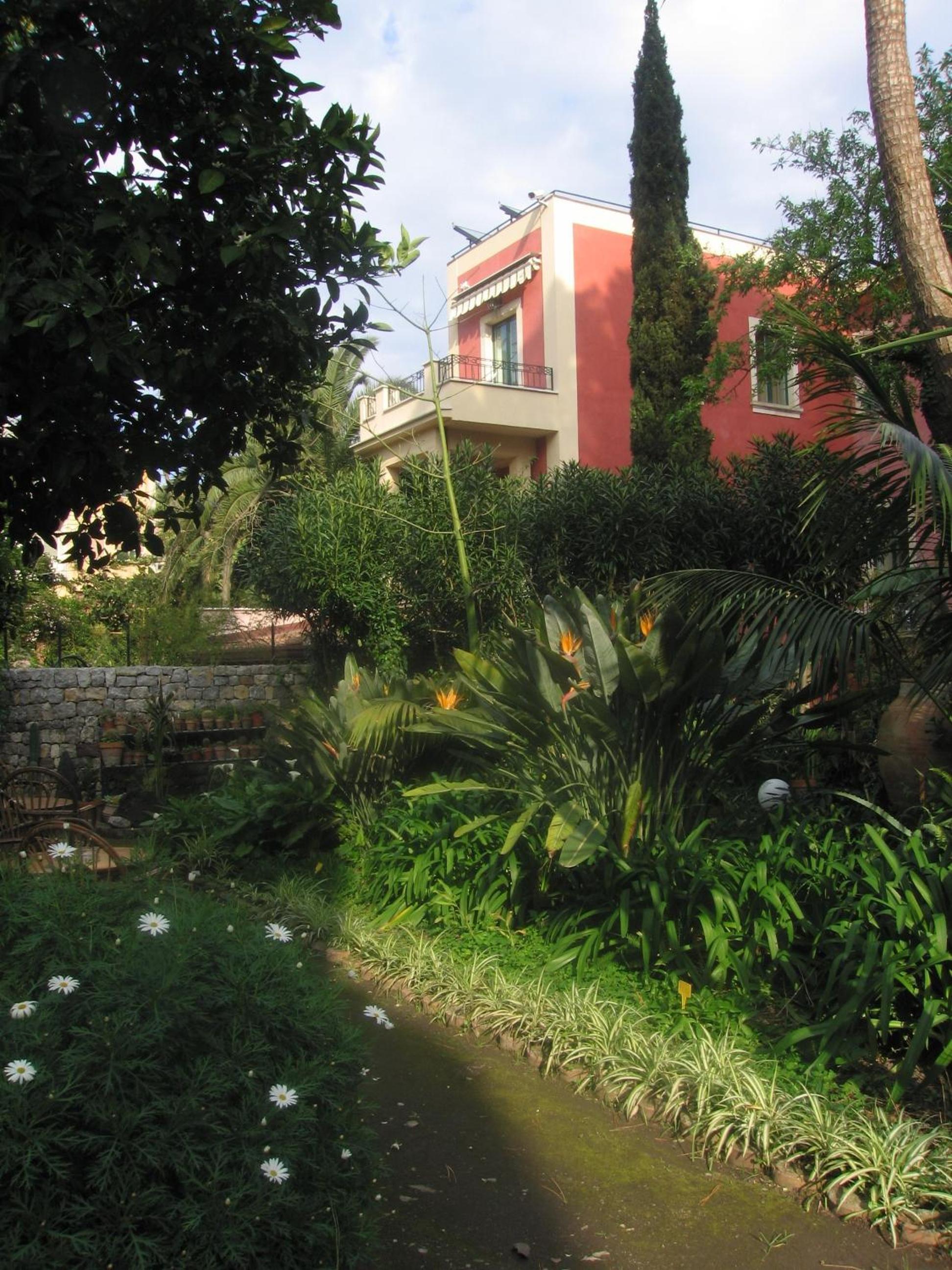 Photo 29