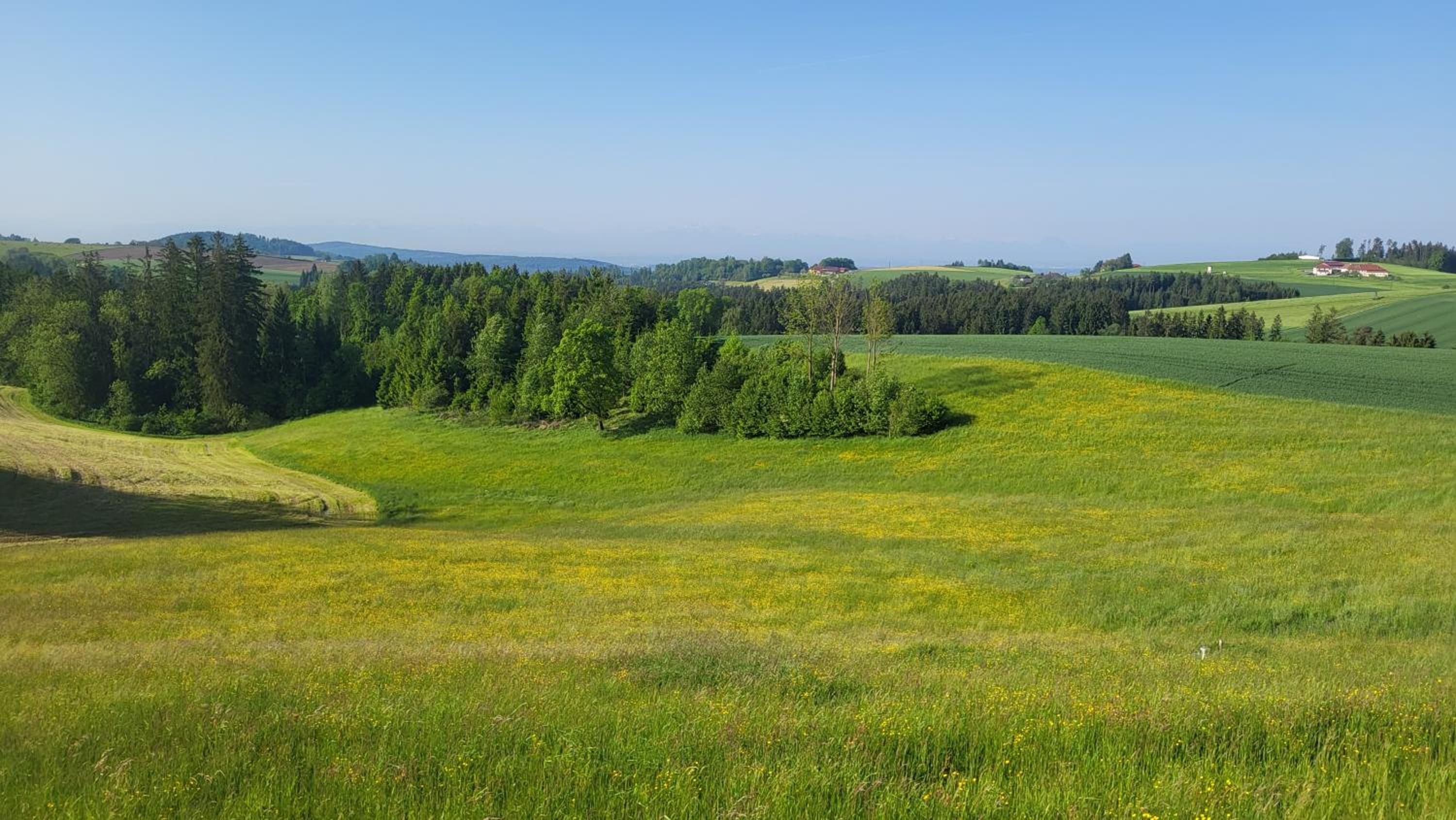 Cottage Alpenblick