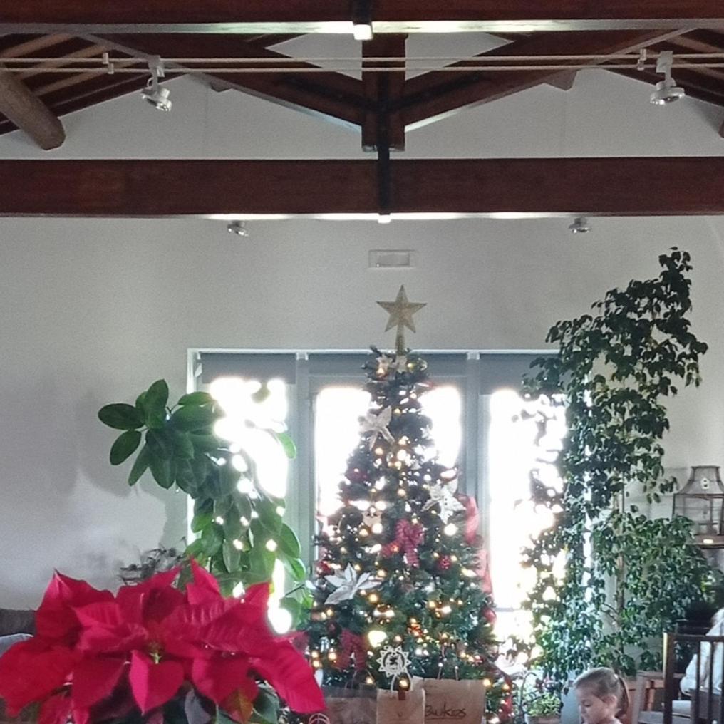 Photo 28