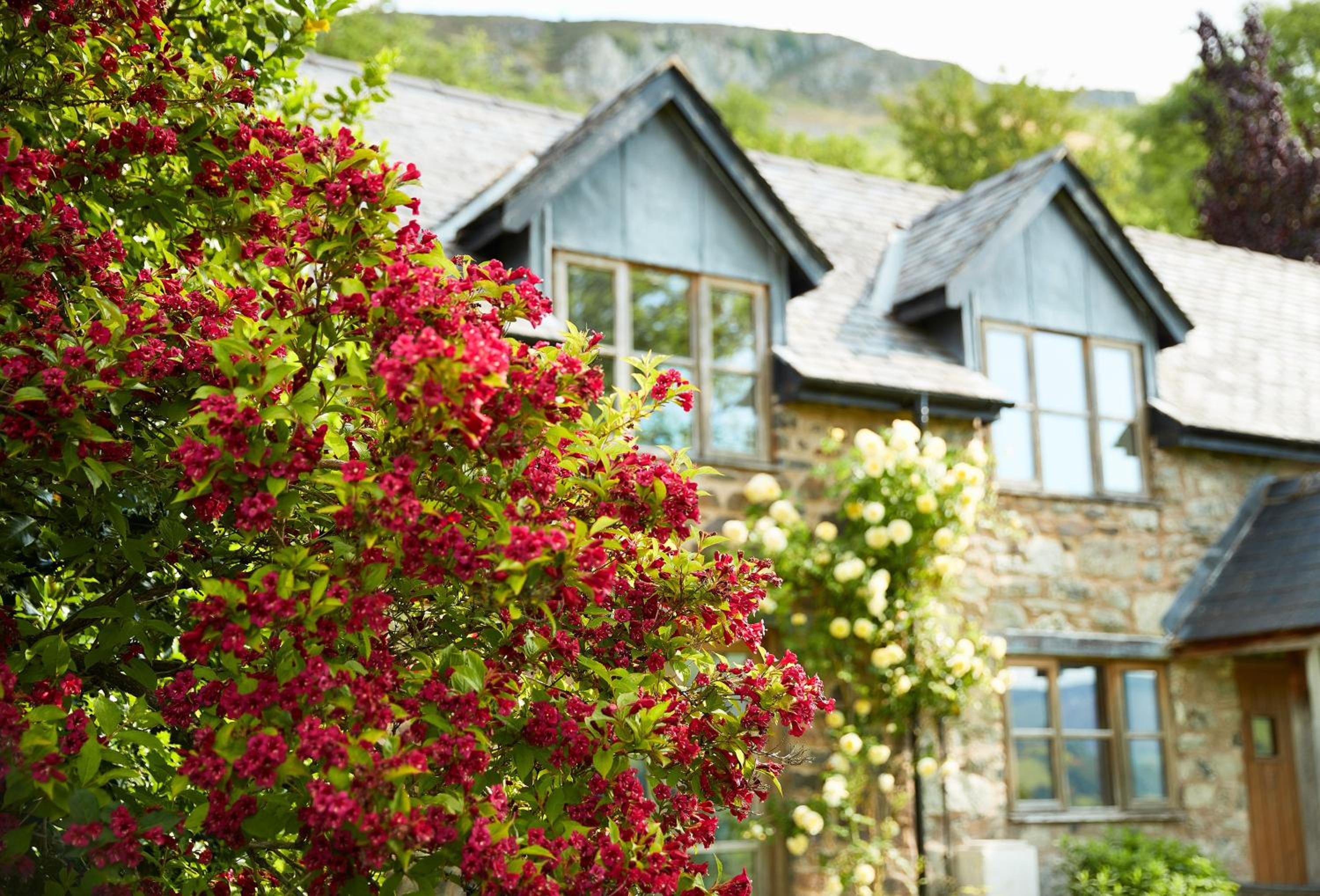 Fron Cottage