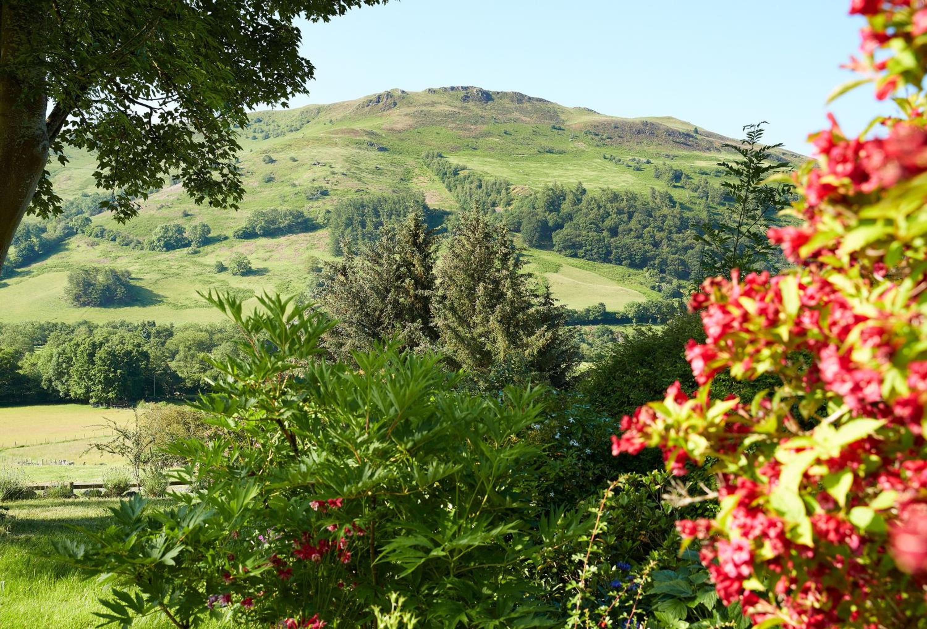 Fron Cottage