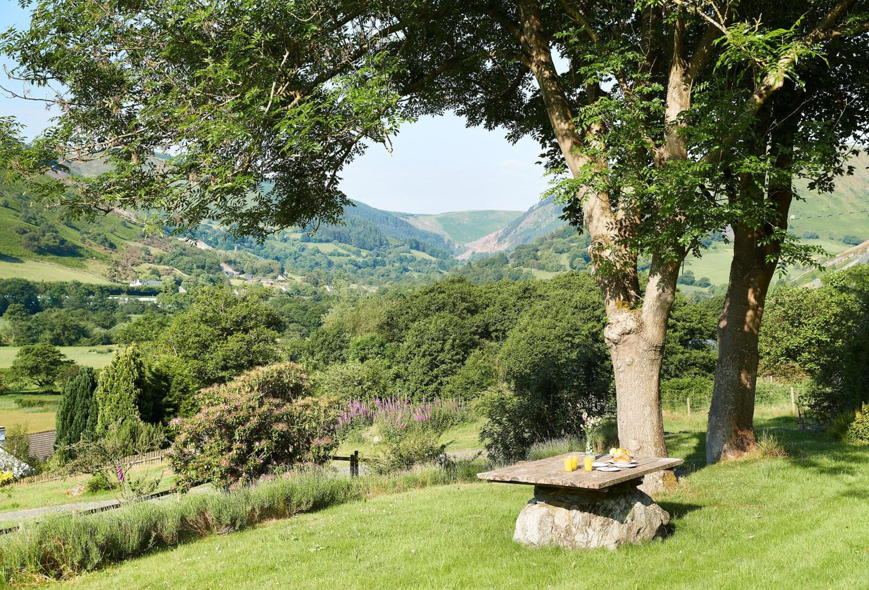 Fron Cottage