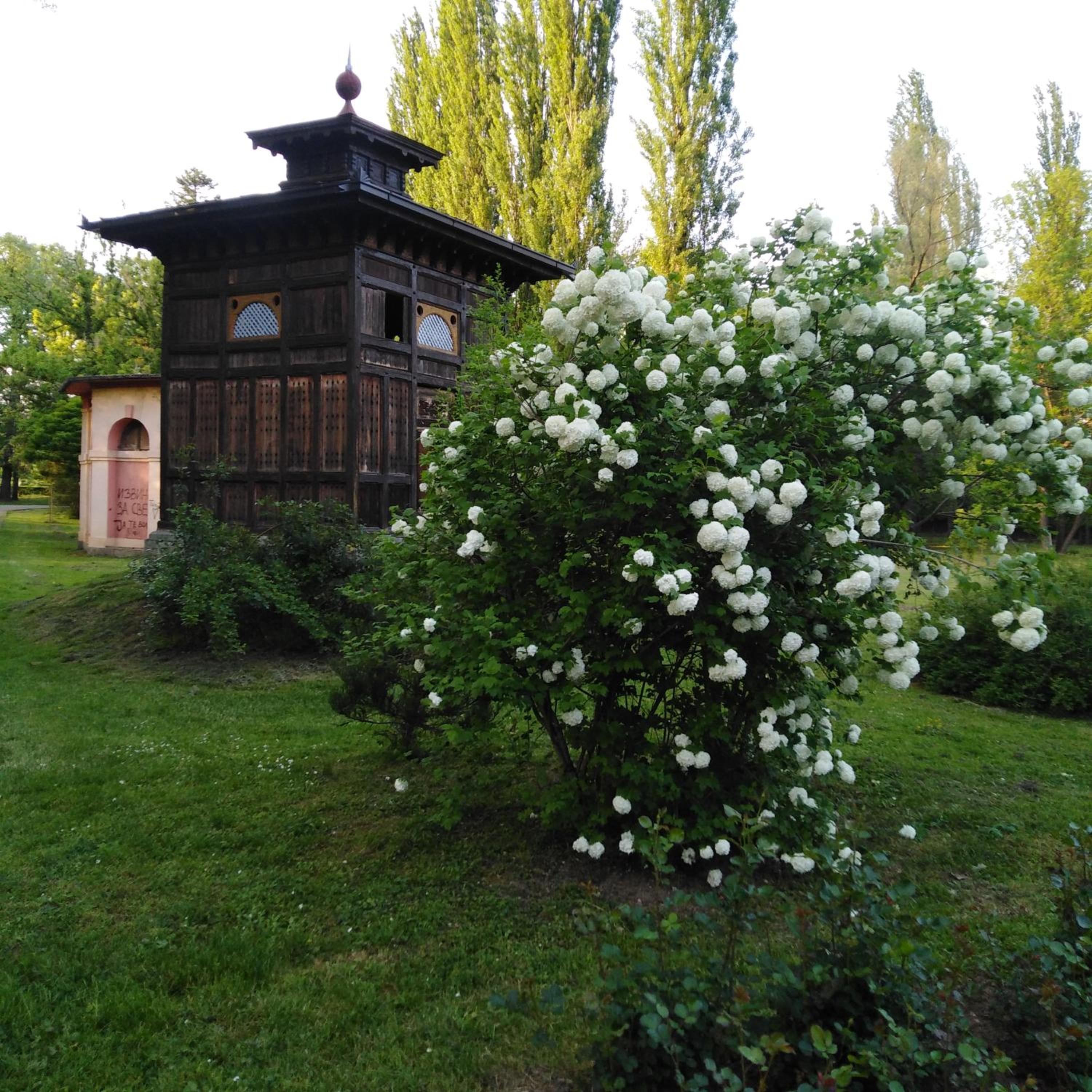 Photo 20