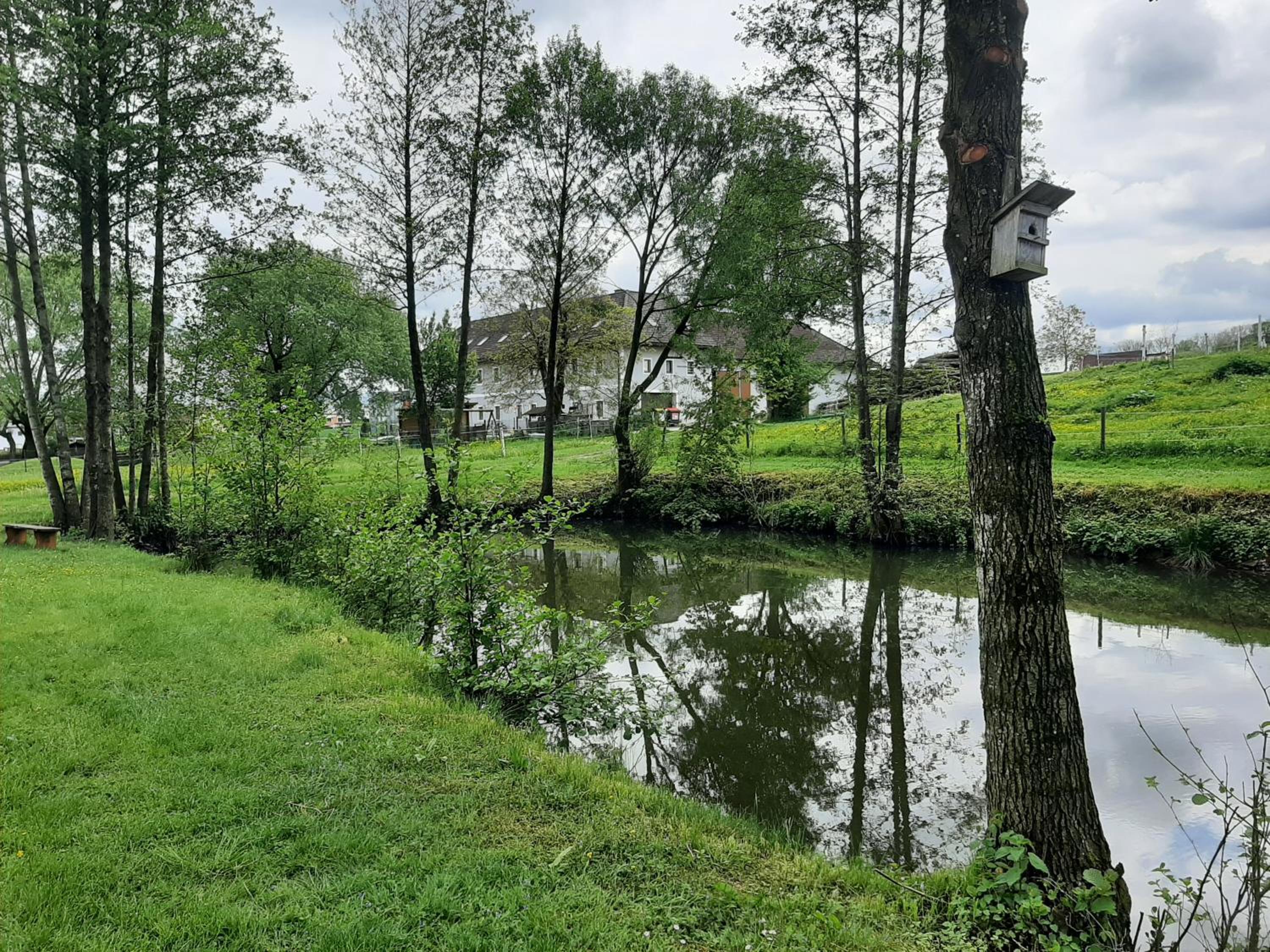 Schöne Wohnung am Bauernhof
