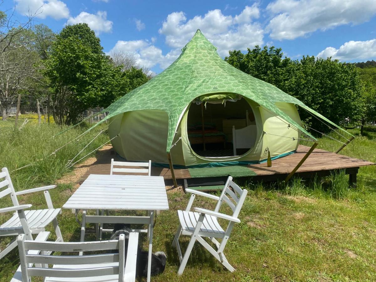 Loire Valley Llama Farm Stay view 4