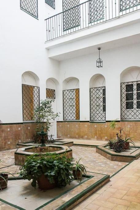 Cozy apartment in a typical Sevillian patio house