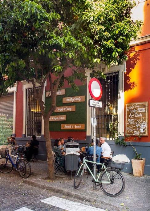 Cozy apartment in a typical Sevillian patio house