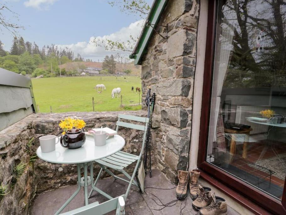 Y Gribyn - Modern stone cottage within Snowdonia's National Park view 2