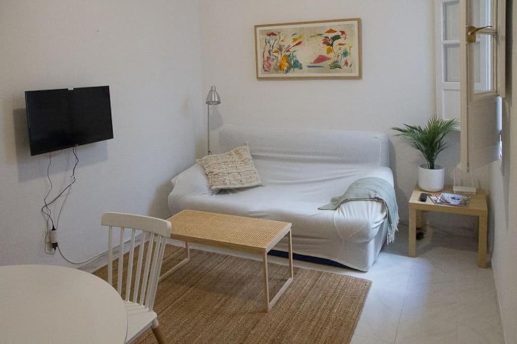 Cozy apartment in a typical Sevillian patio house