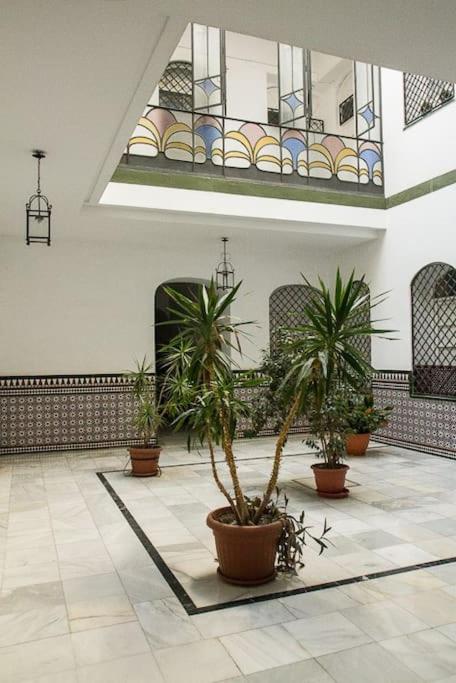 Cozy apartment in a typical Sevillian patio house