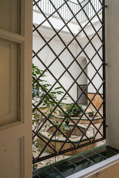 Cozy apartment in a typical Sevillian patio house