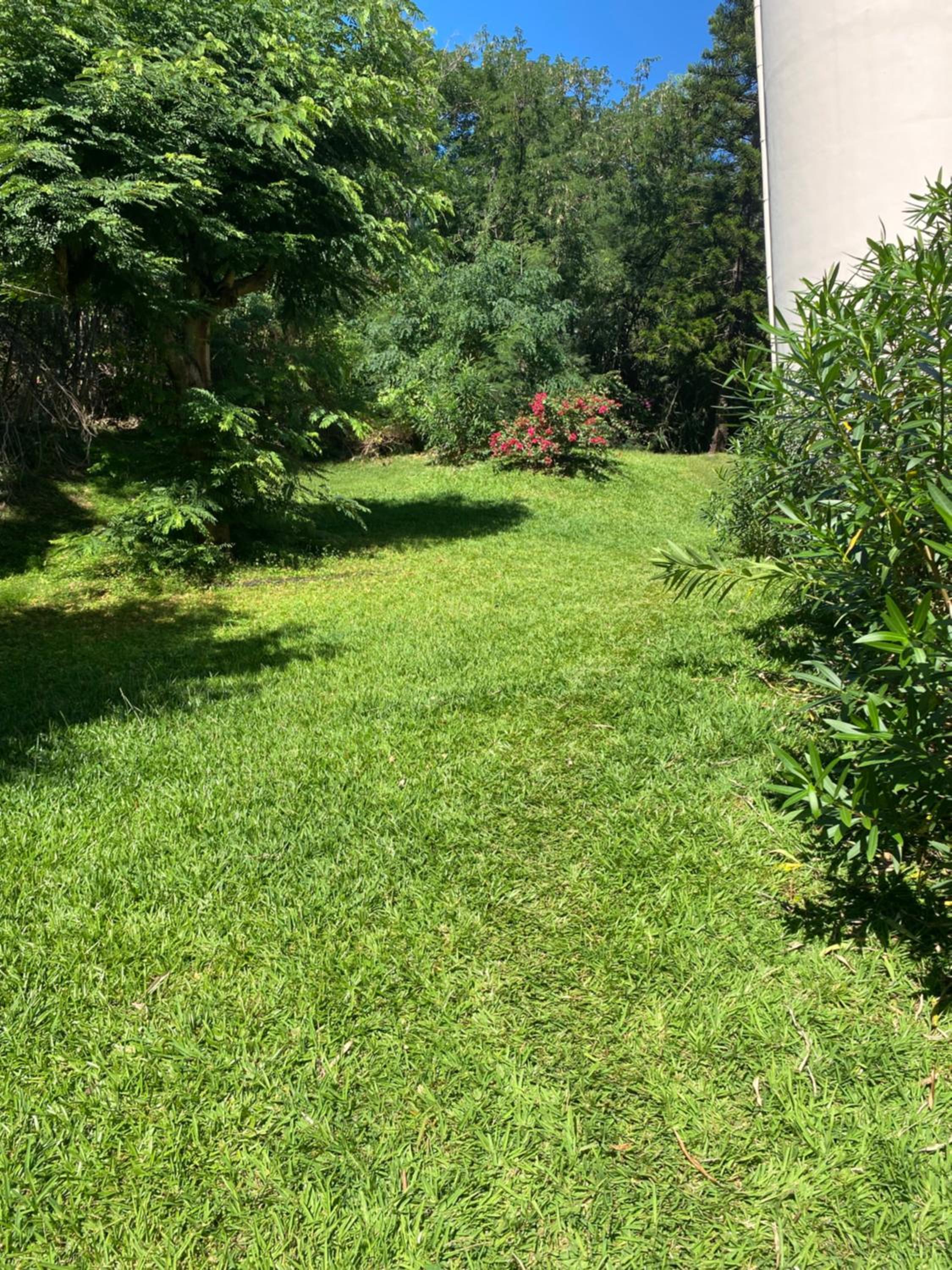 Le Nid Vert view 4
