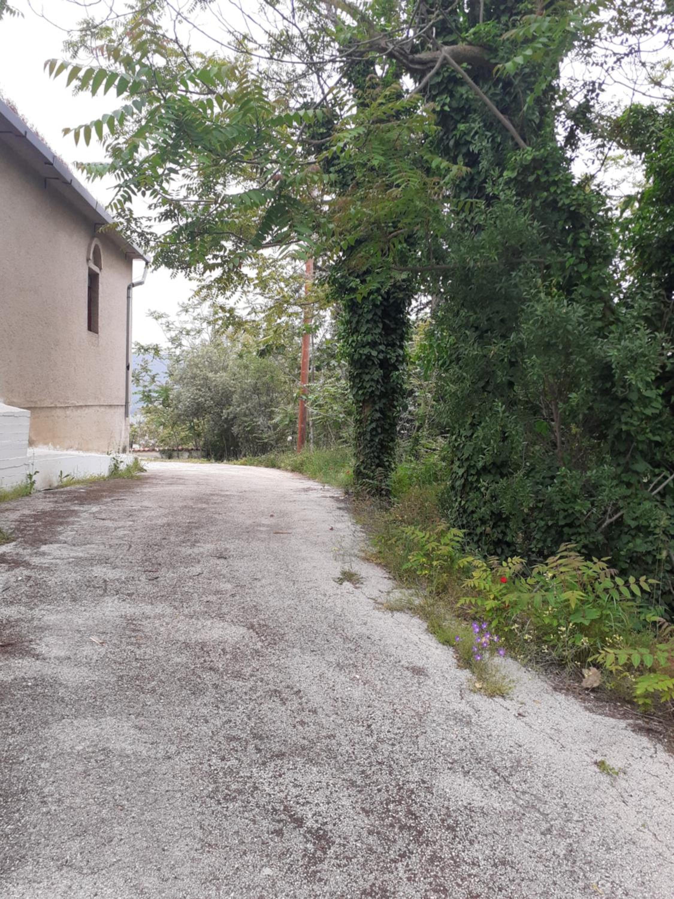 Vagelis 2 Nemea apartments