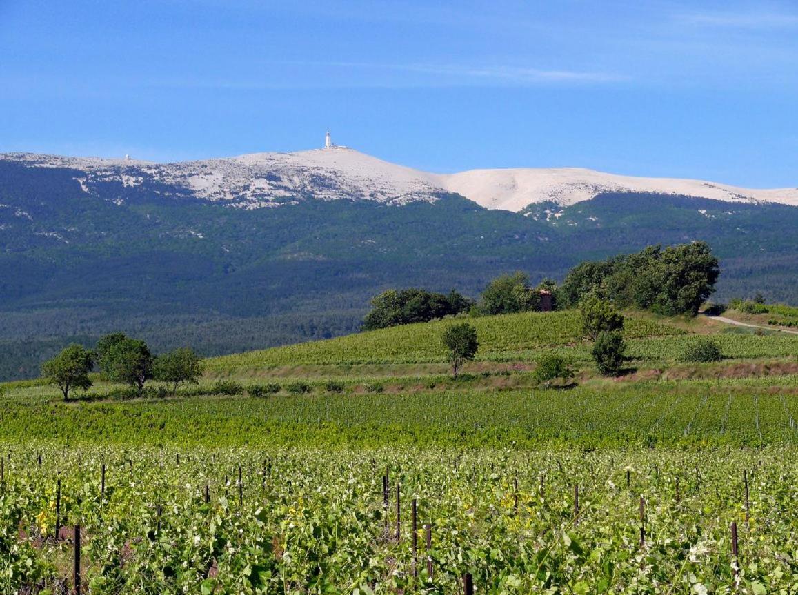 Petit gite de Provence view 2