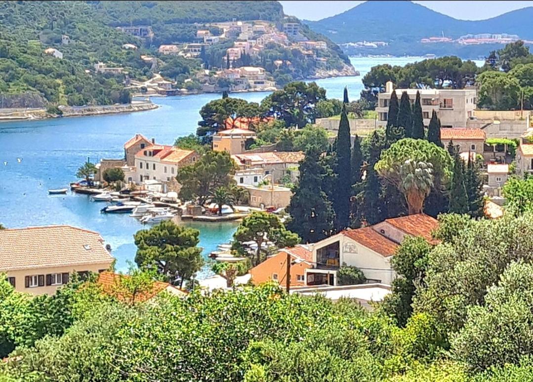 Seaview Apartment with Free Garage Parking 2 min to Beach Zaton near Dubrovnik
