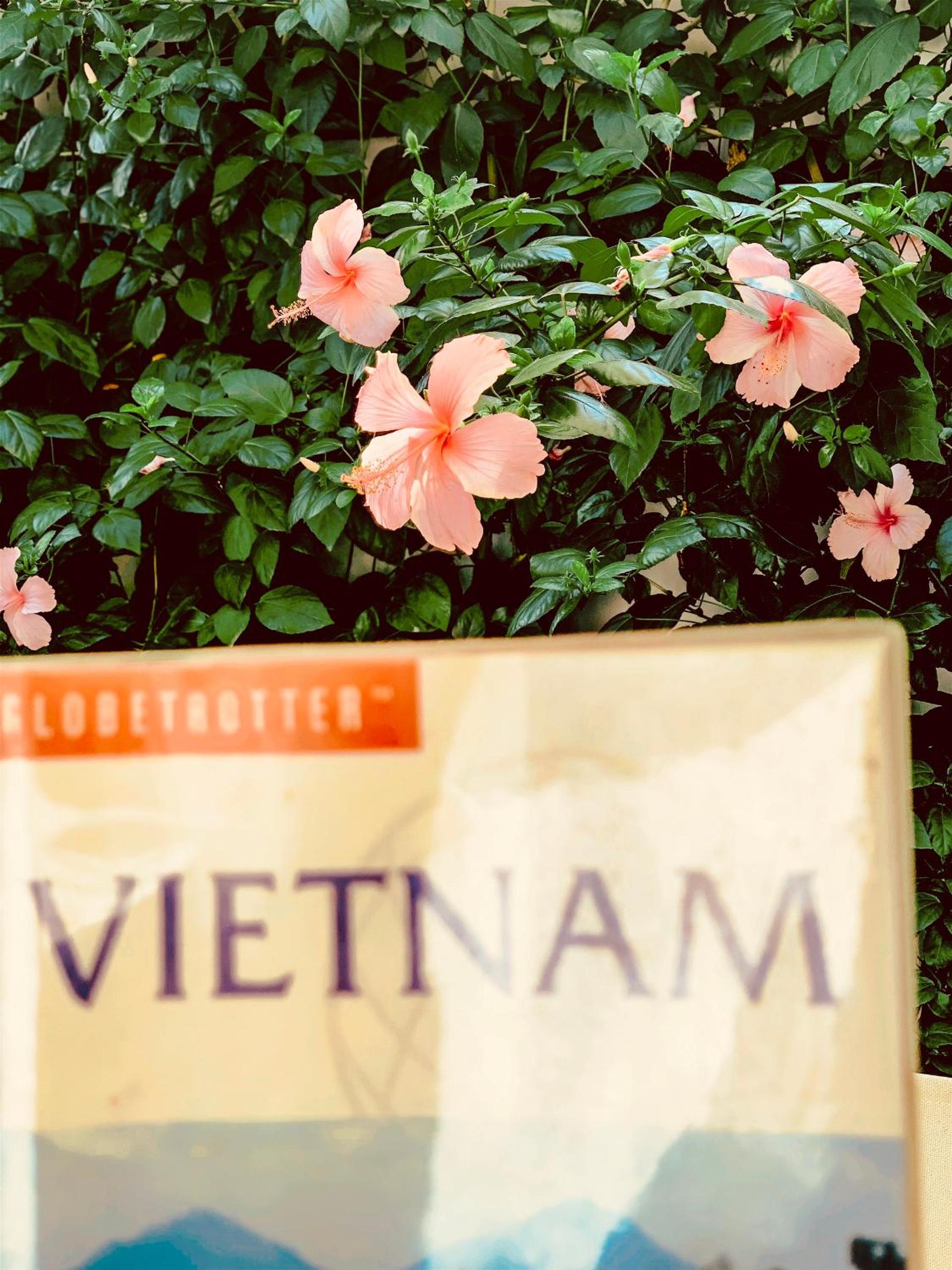 An Hiên Homestay Hội An
