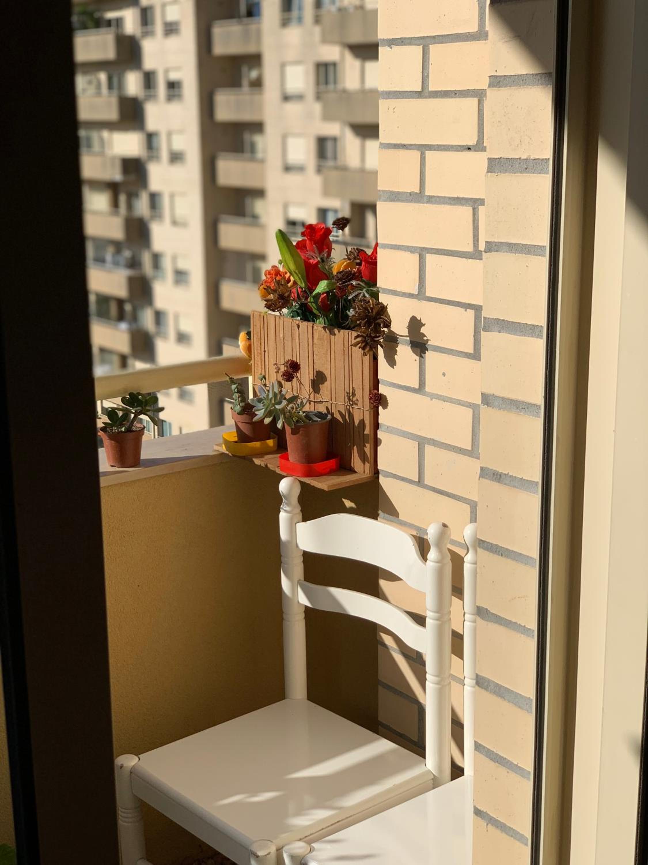 Photo 38