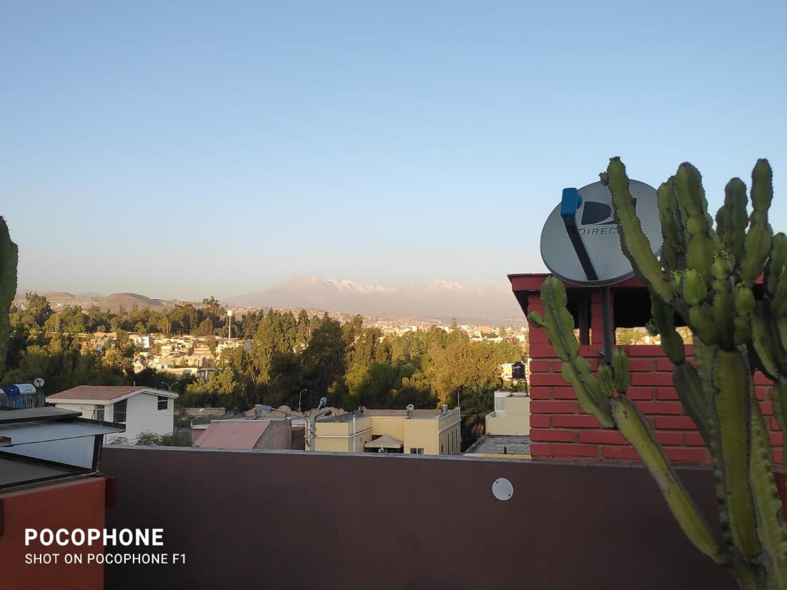 Flying House Hostel view 4