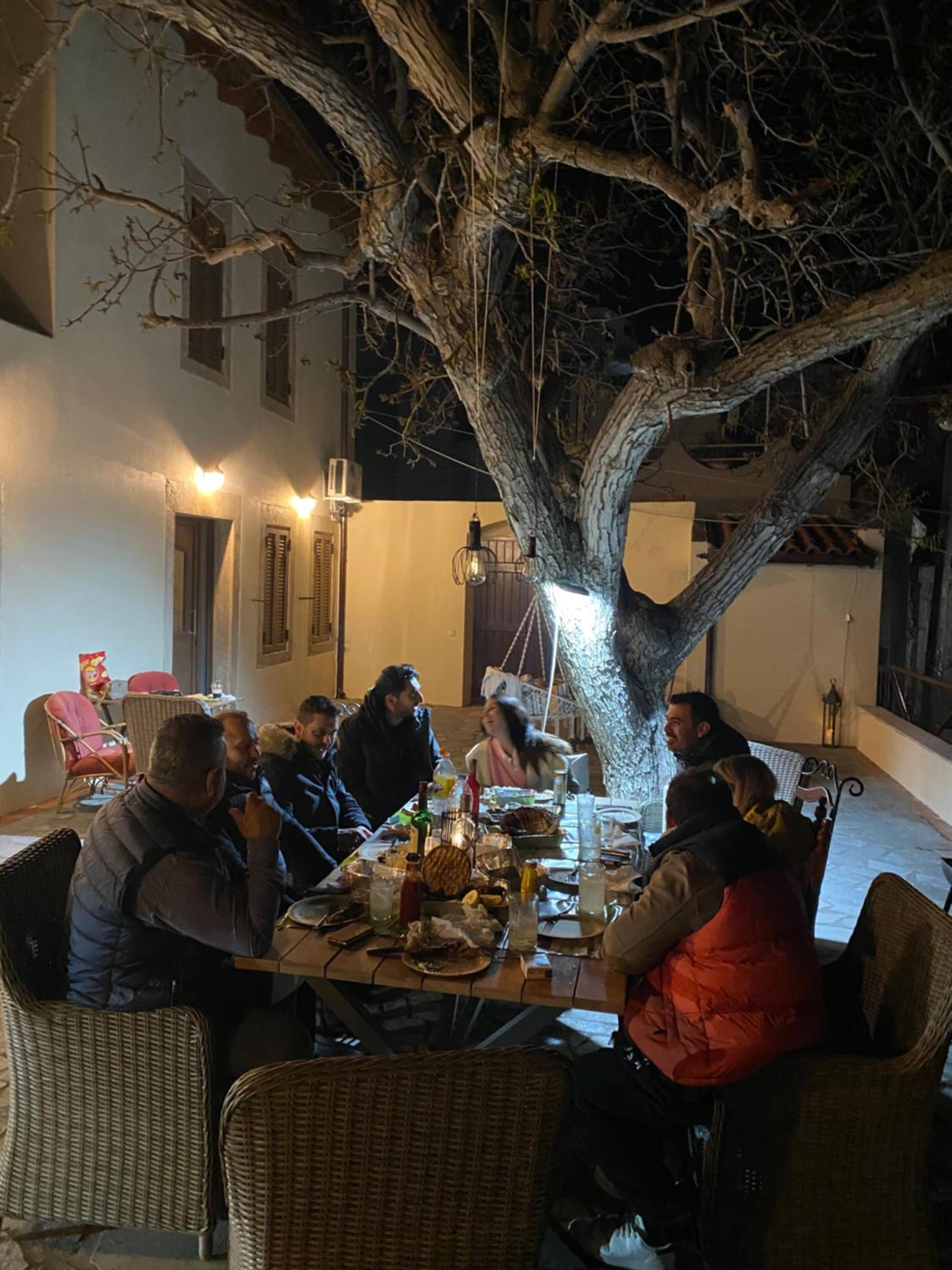 Walnut tree Villa Ano Archanes-10km from Heraklion view 4