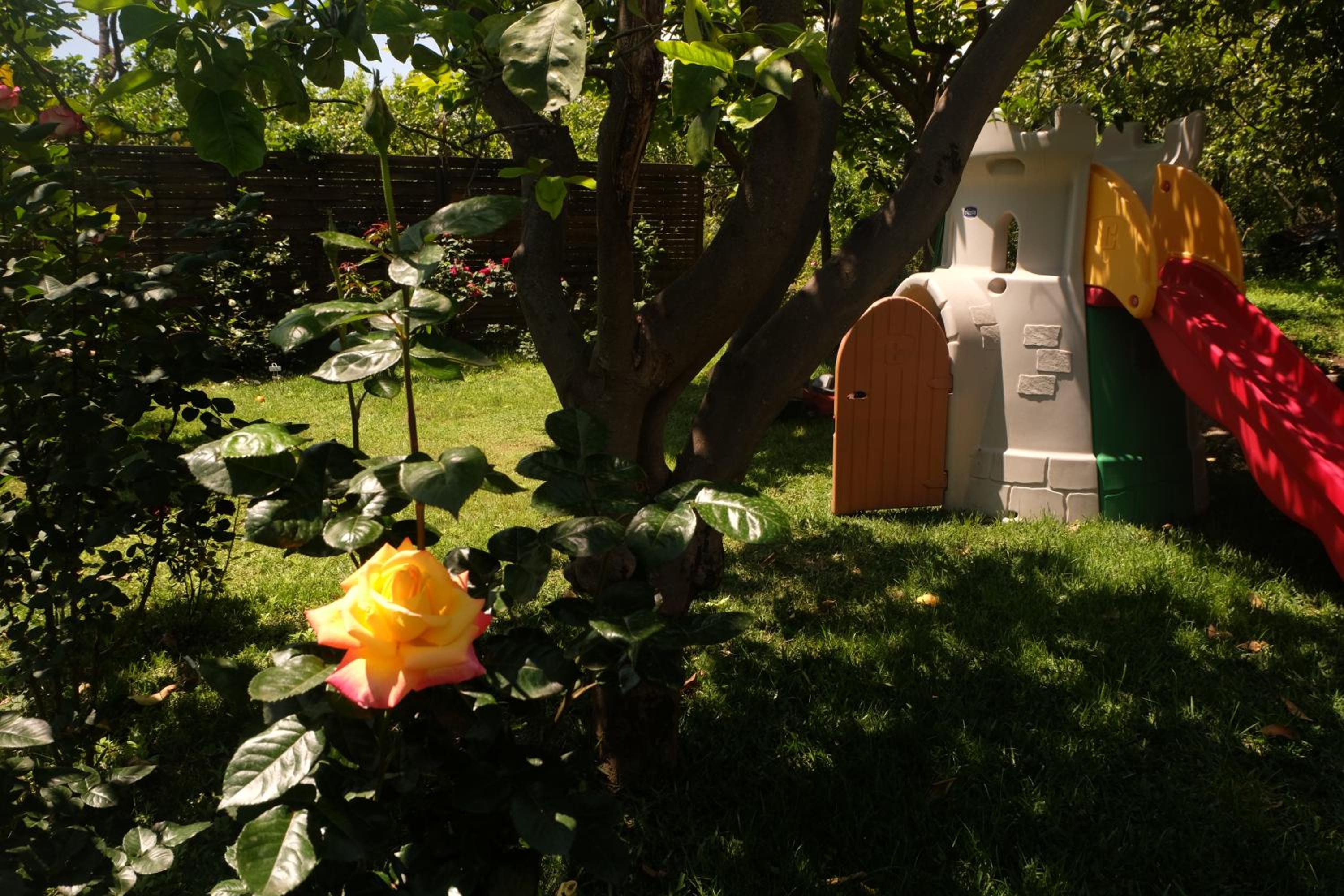 Photo 13