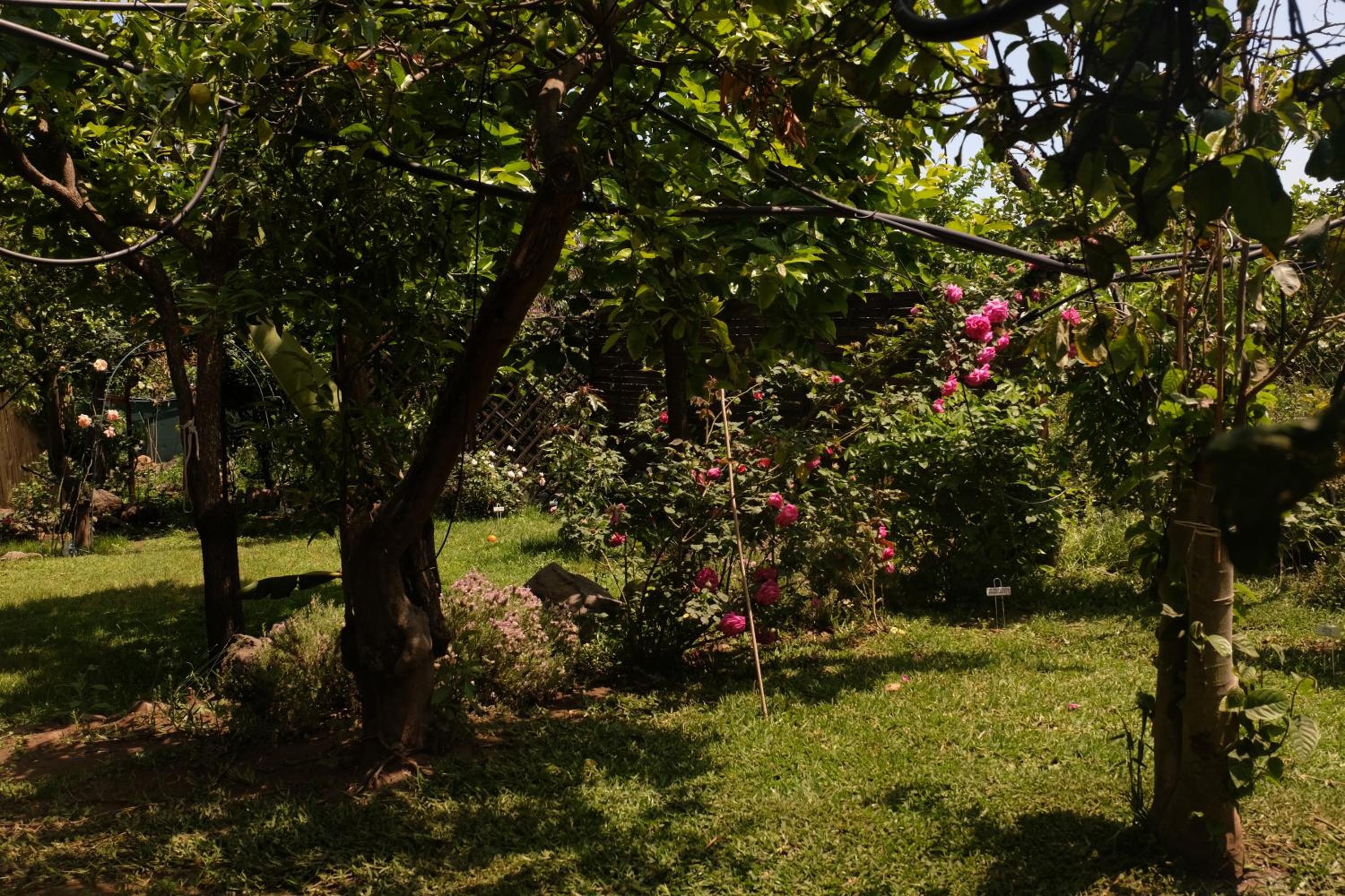Photo 44
