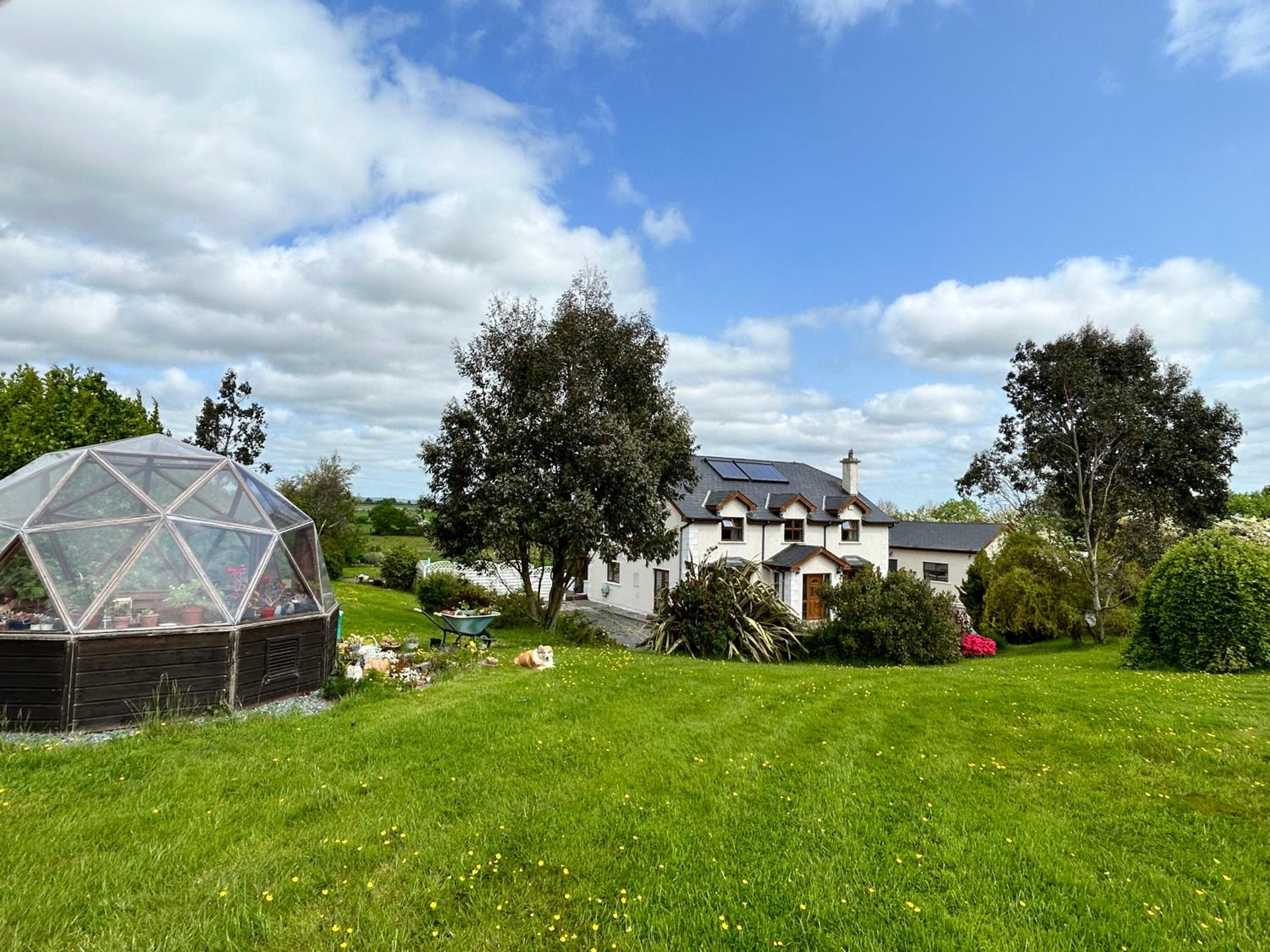 Tobernaglough Wexford pet friendly country b&b view 3