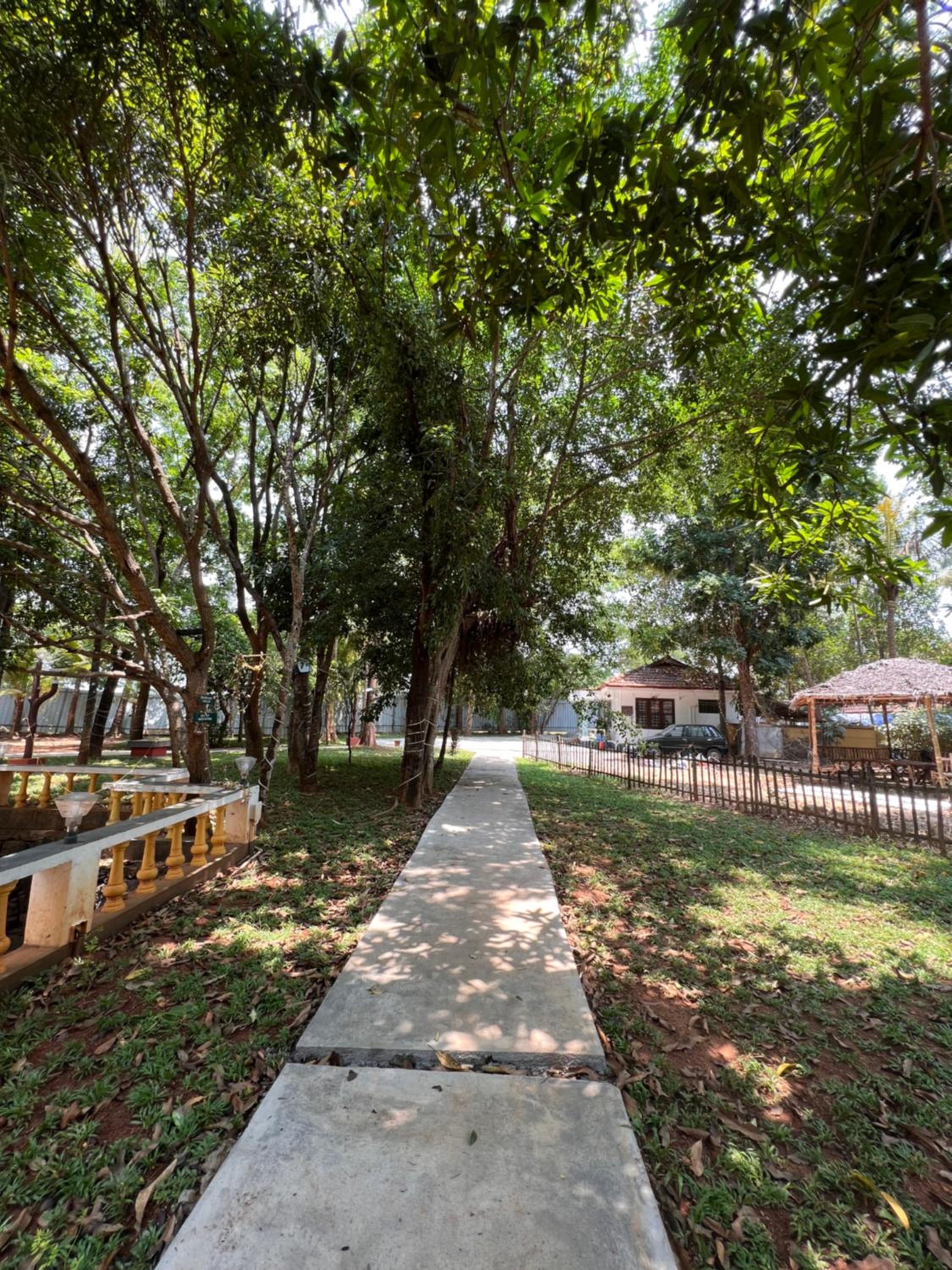 Surya Eco and Wedding Resort view 5