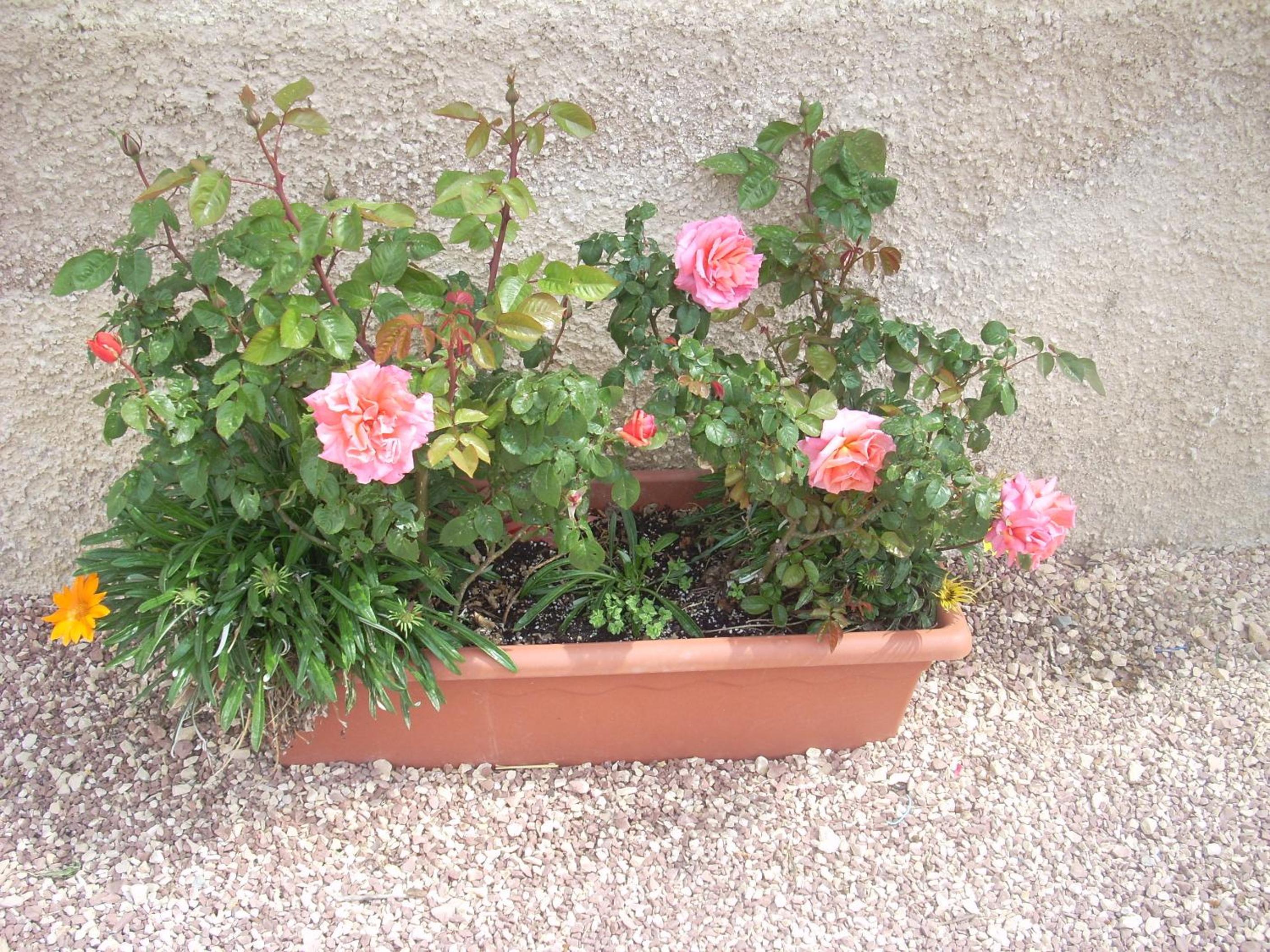 Photo 26