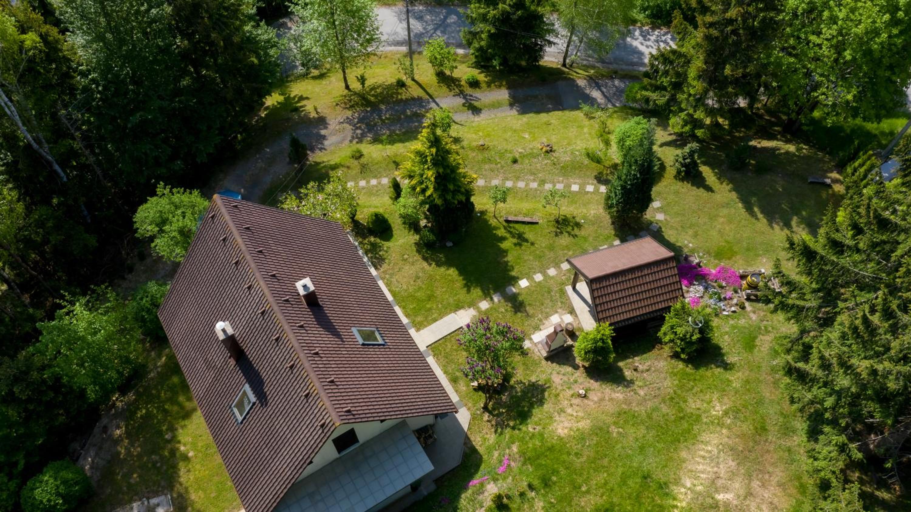 Šumska idila pokraj jezera view 2