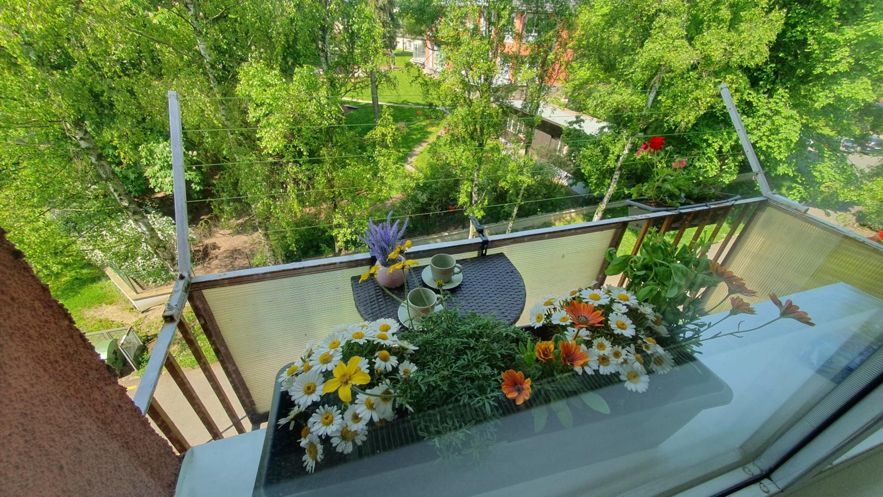 Luxury apartment in beautiful small town