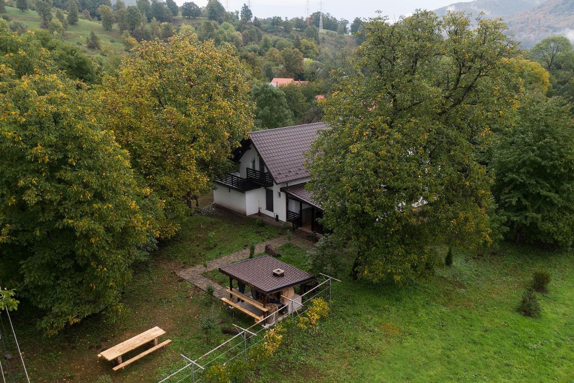 Photo 23