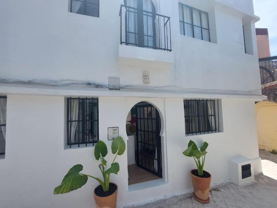 Dar Zwina, Charming and lovely house view 5