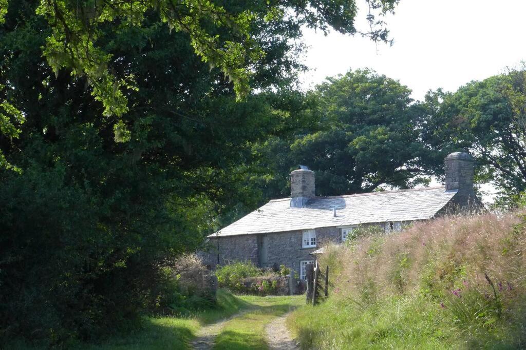 South Priddacombe - Bolventor Cornwall view 5