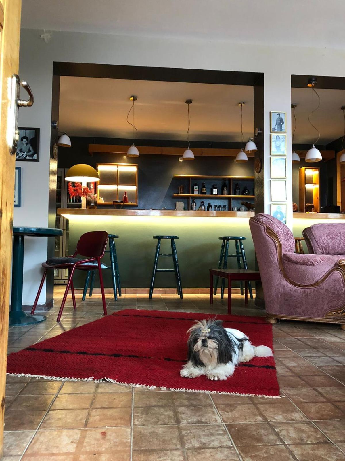 Red Goat Hostel