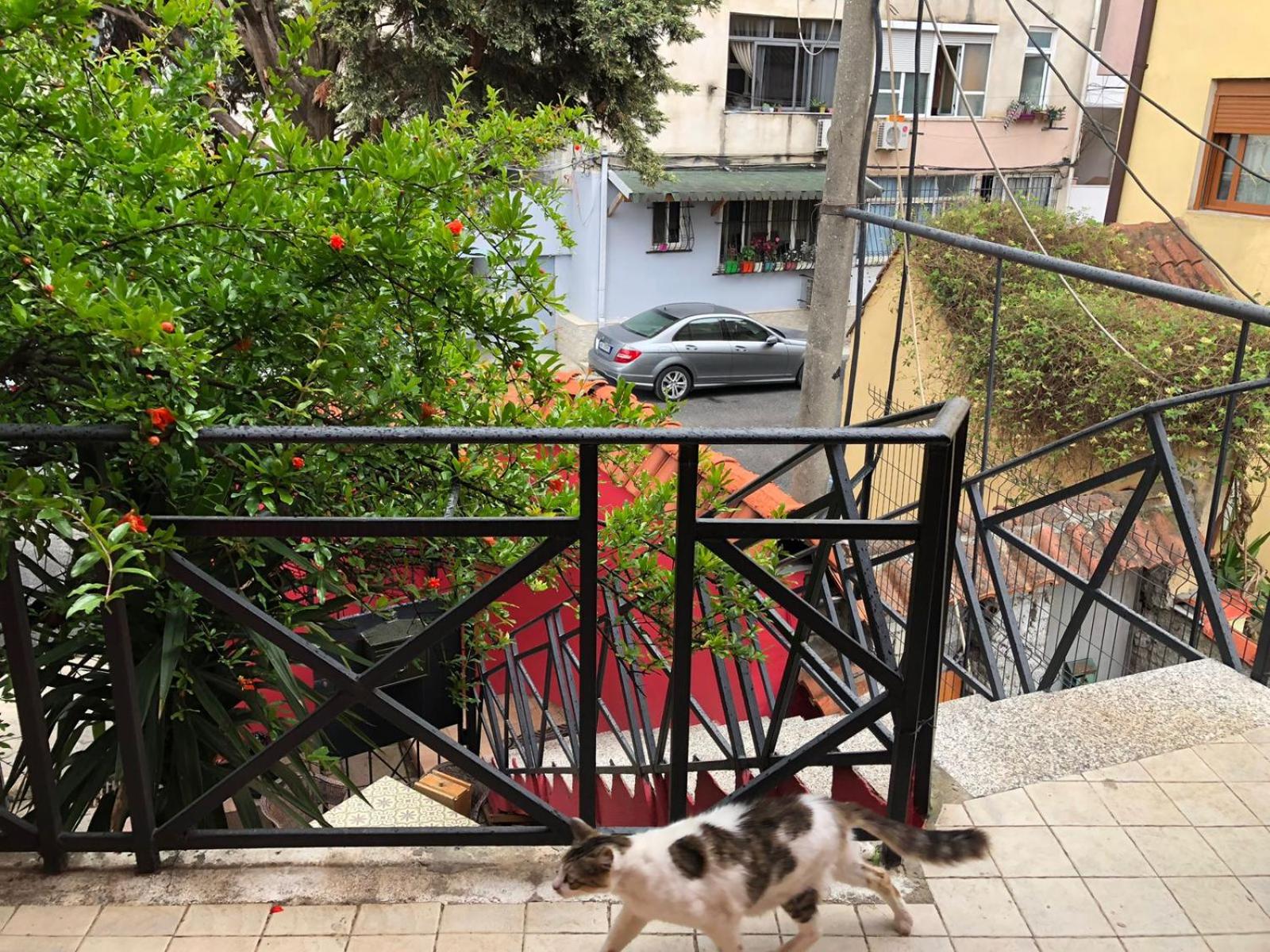 Red Goat Hostel