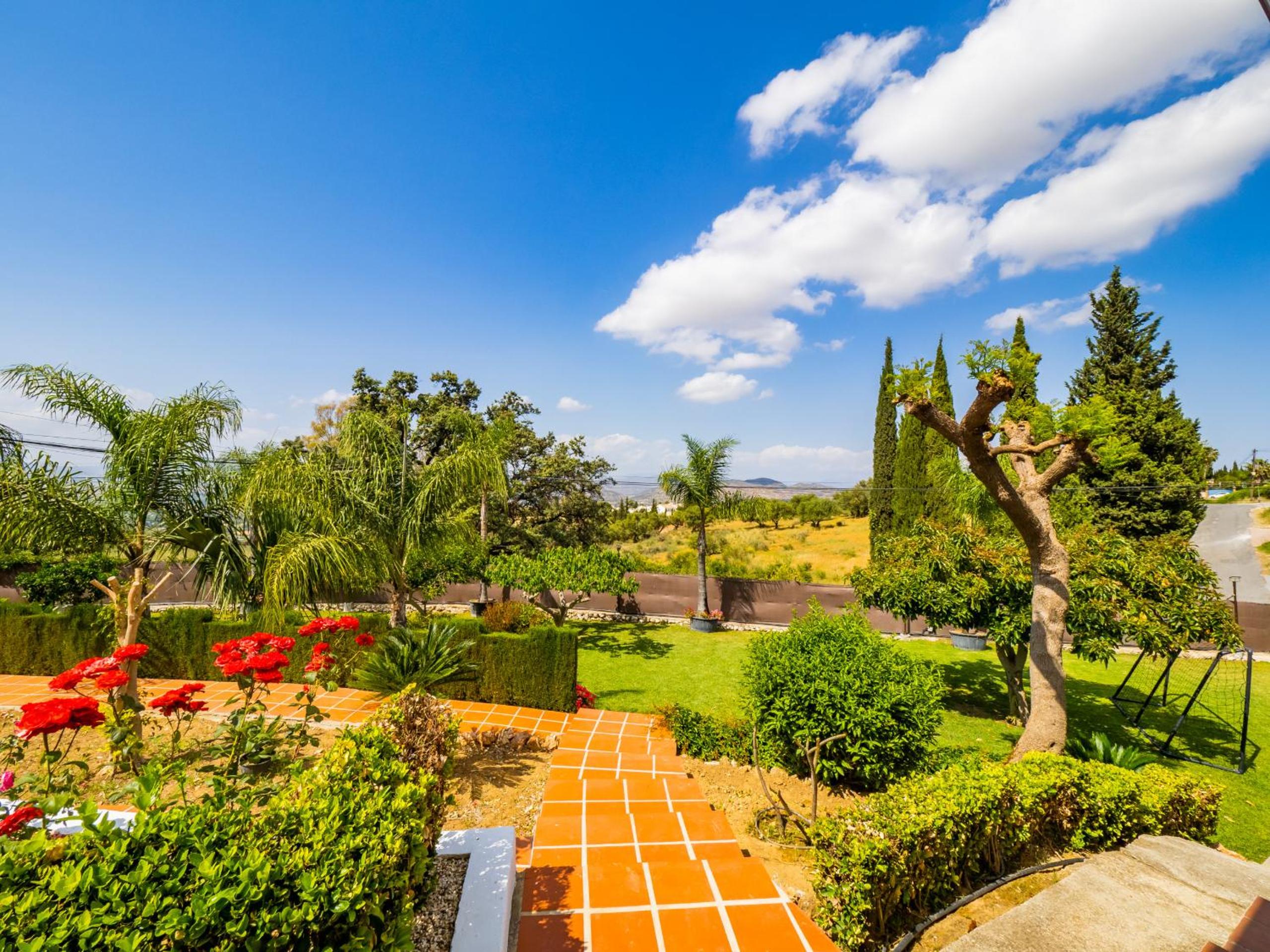 Cubo's Villa Esmeralda view 5