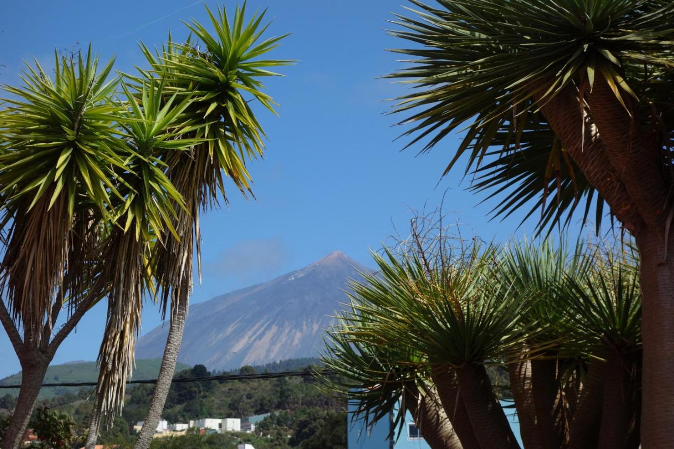 Finca Las Canitas - Ferienhaus Teneriffa