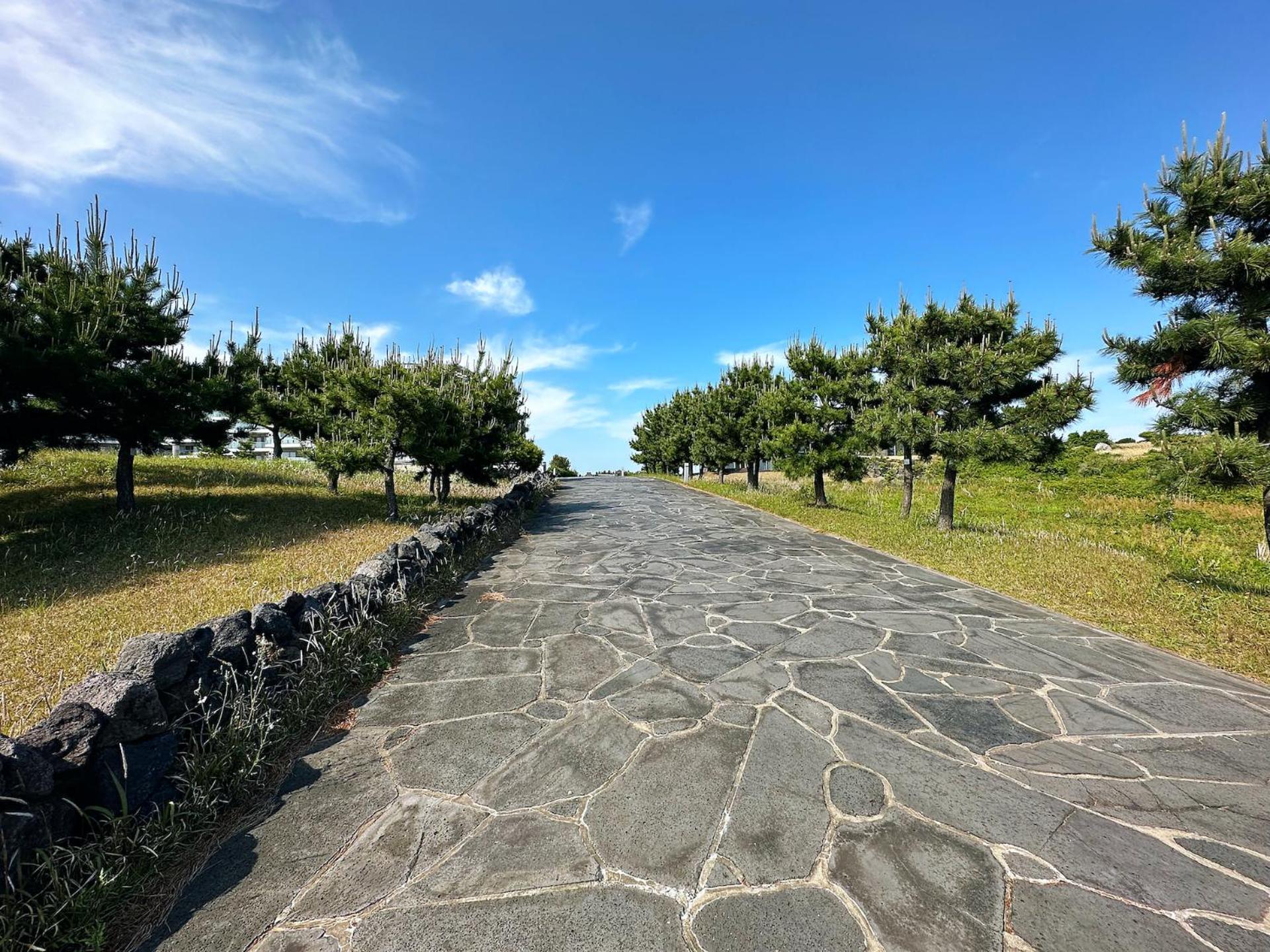 Seopjikoji Oceanview Apartment