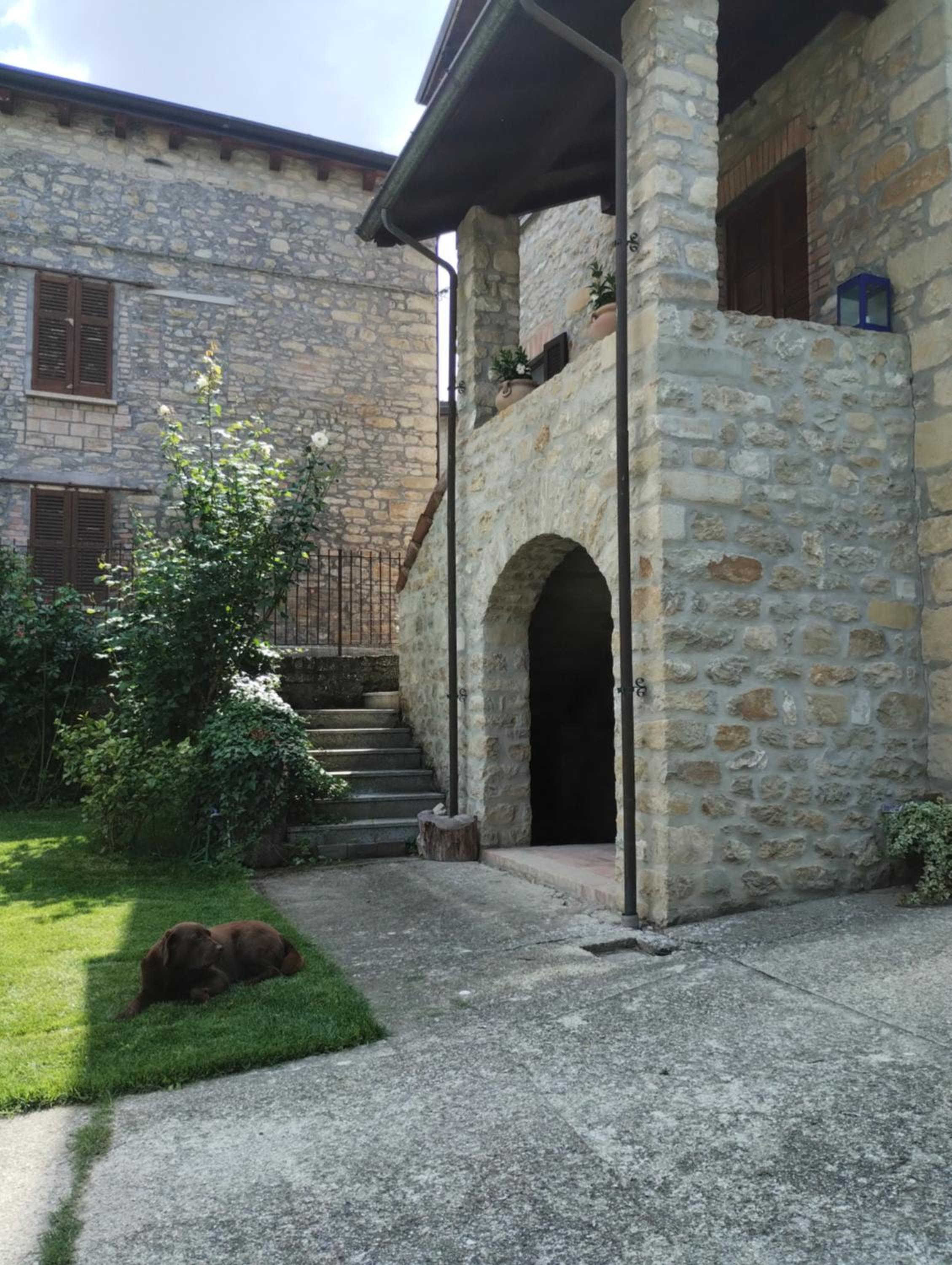 Photo 35