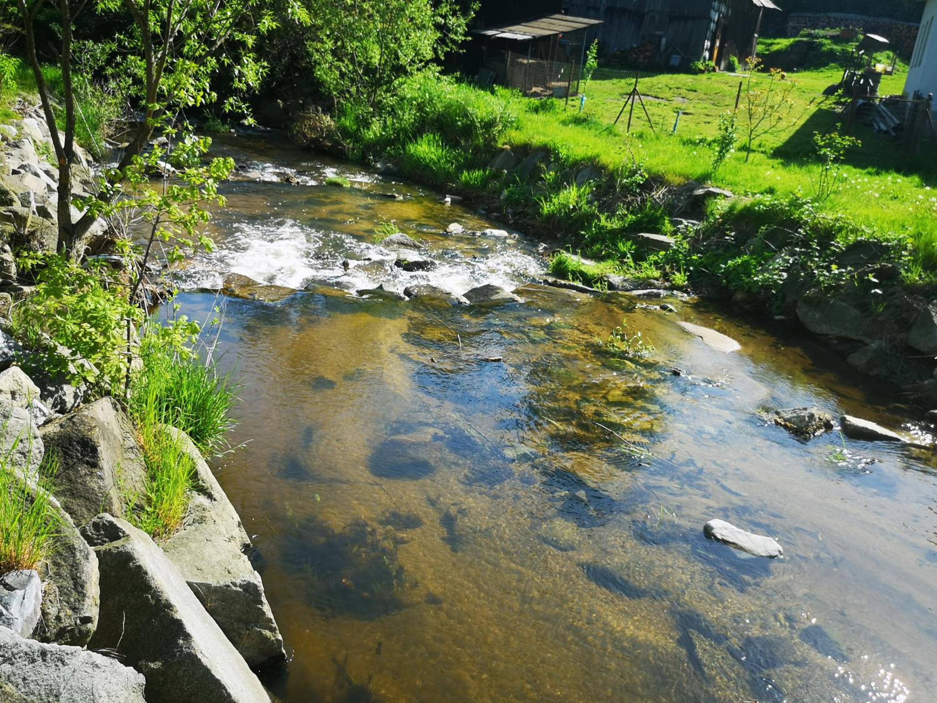 Maciejówka