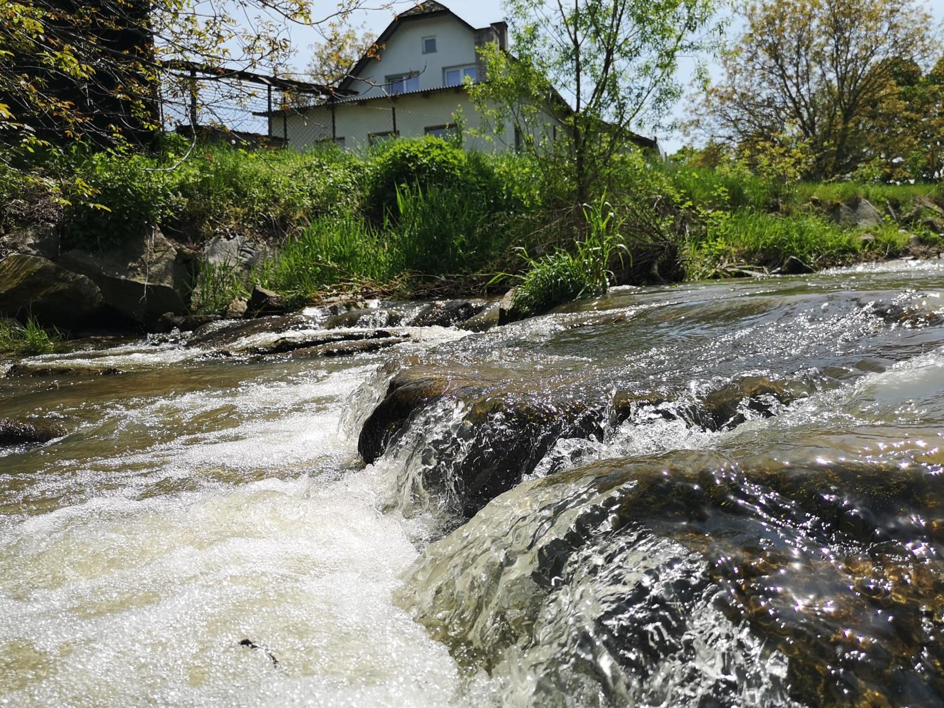 Maciejówka