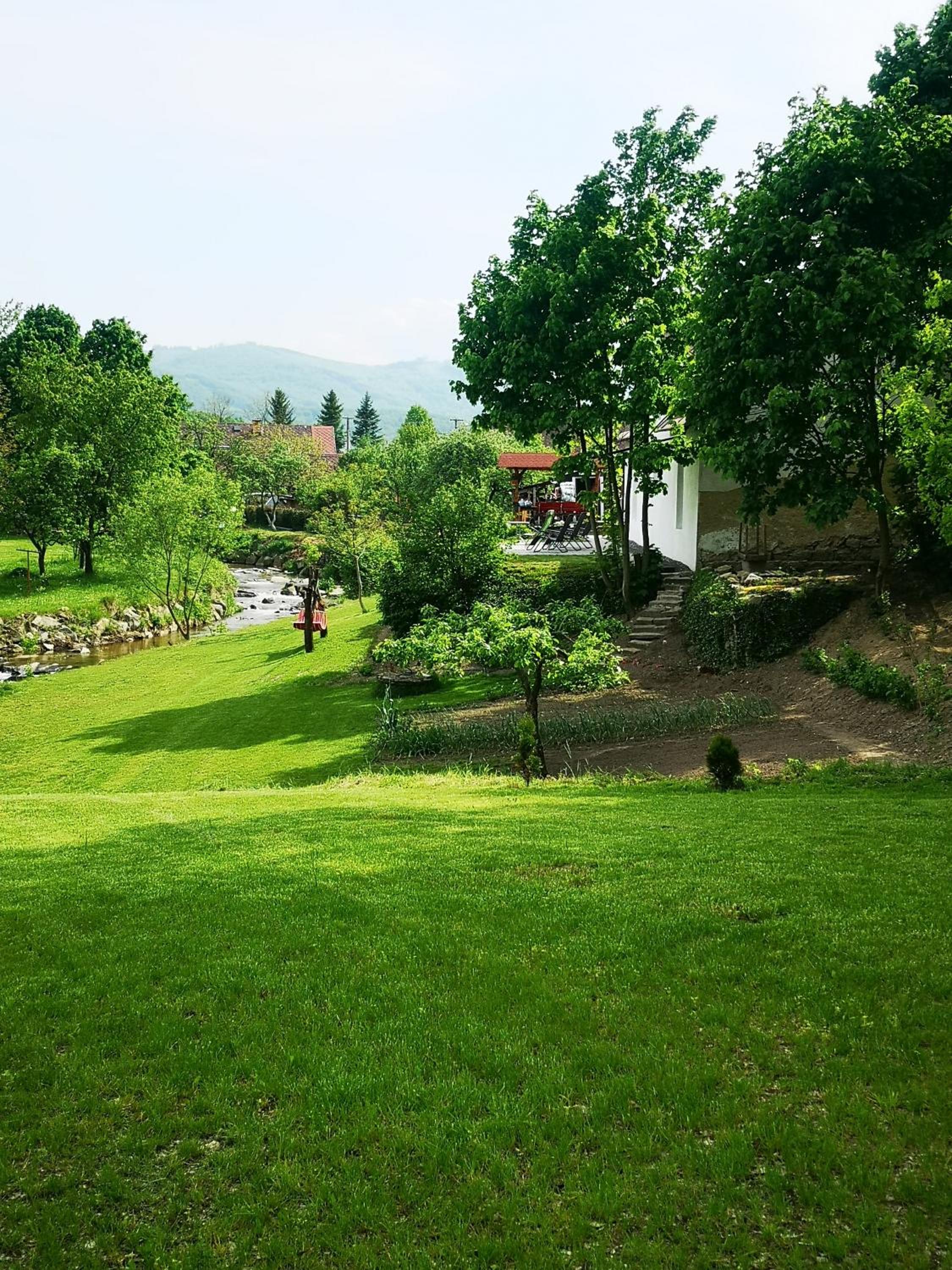 Maciejówka