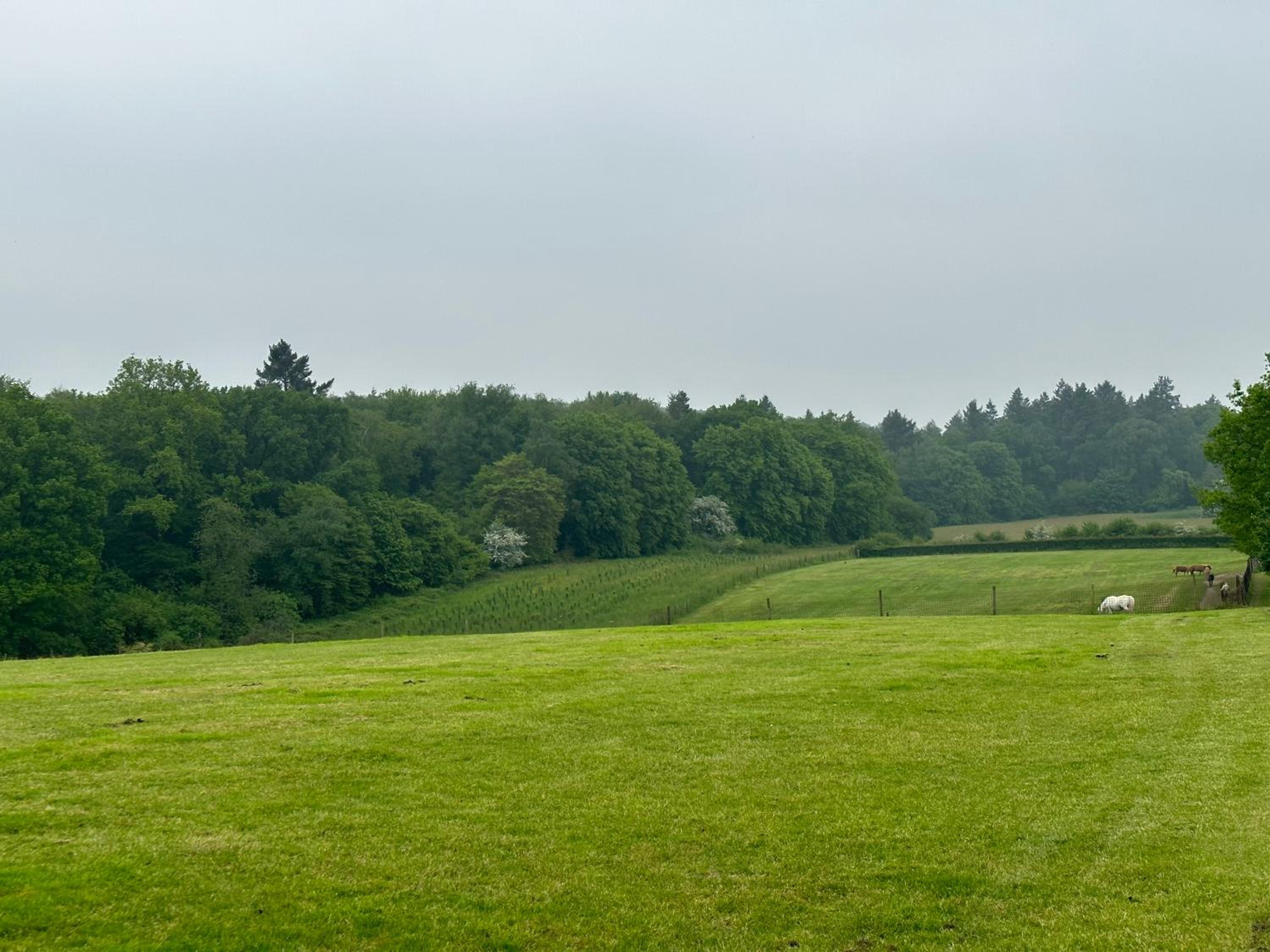 Bungalowpark Landsrade