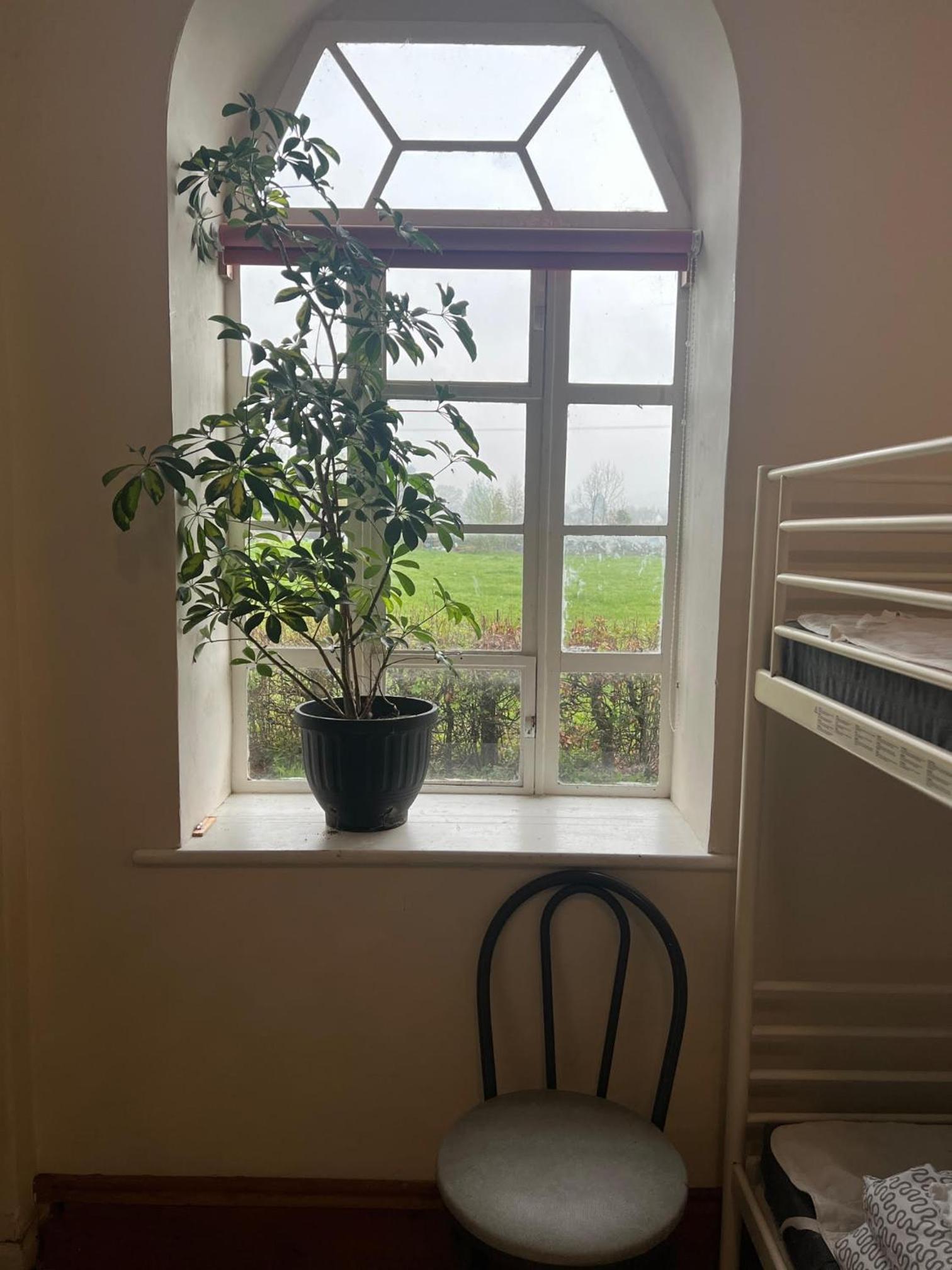 Llanfyllin Workhouse - Y Dolydd view 2