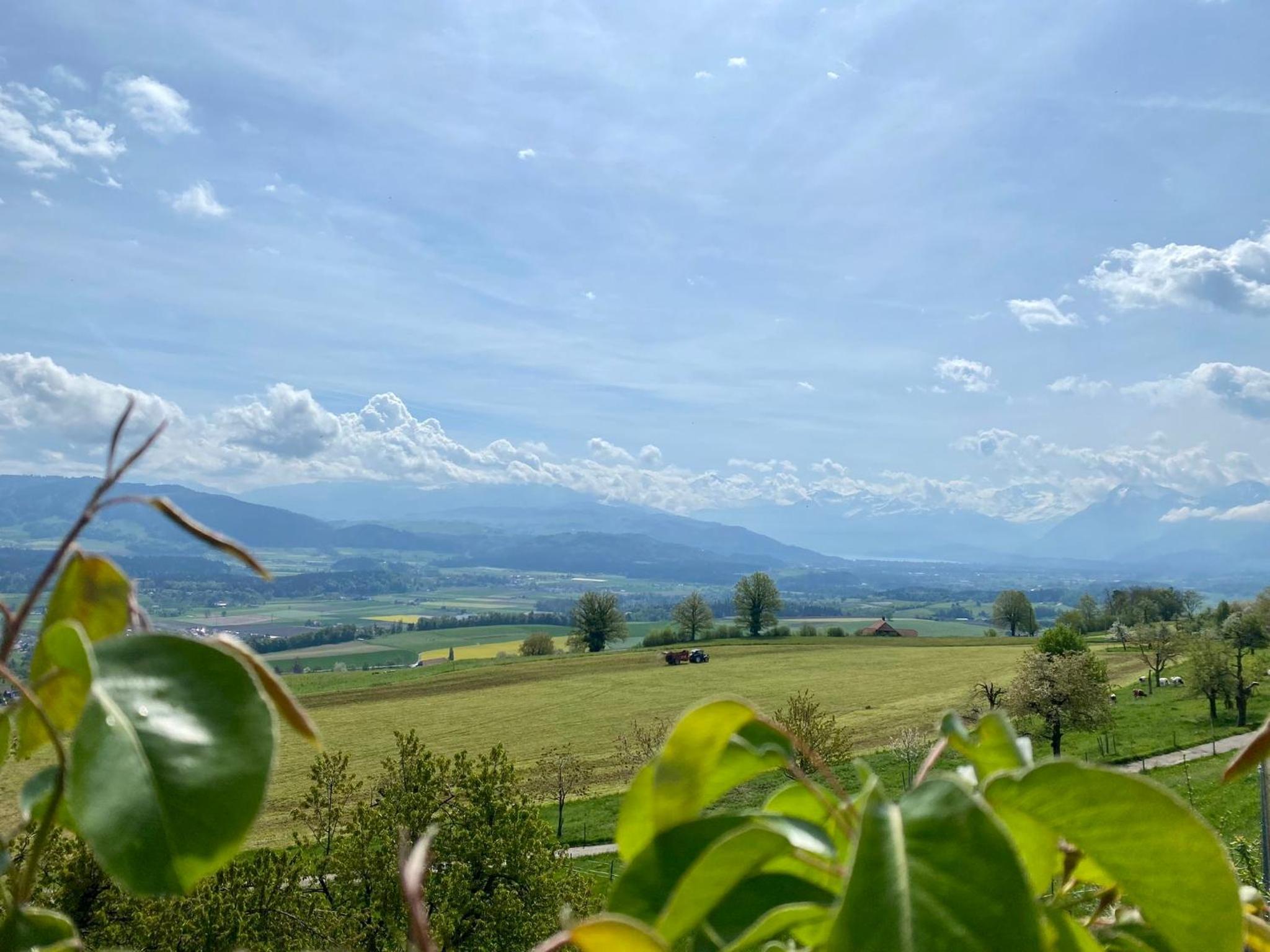 Rosenhüsli