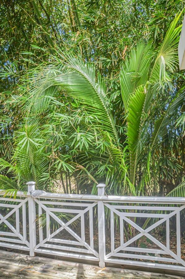 Bamboo Vacation Home