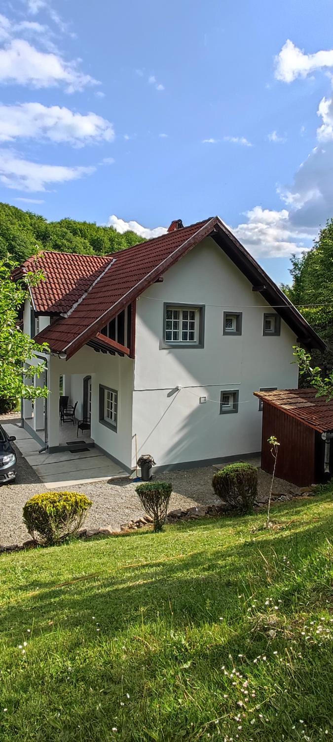 Casa Bănucu view 5